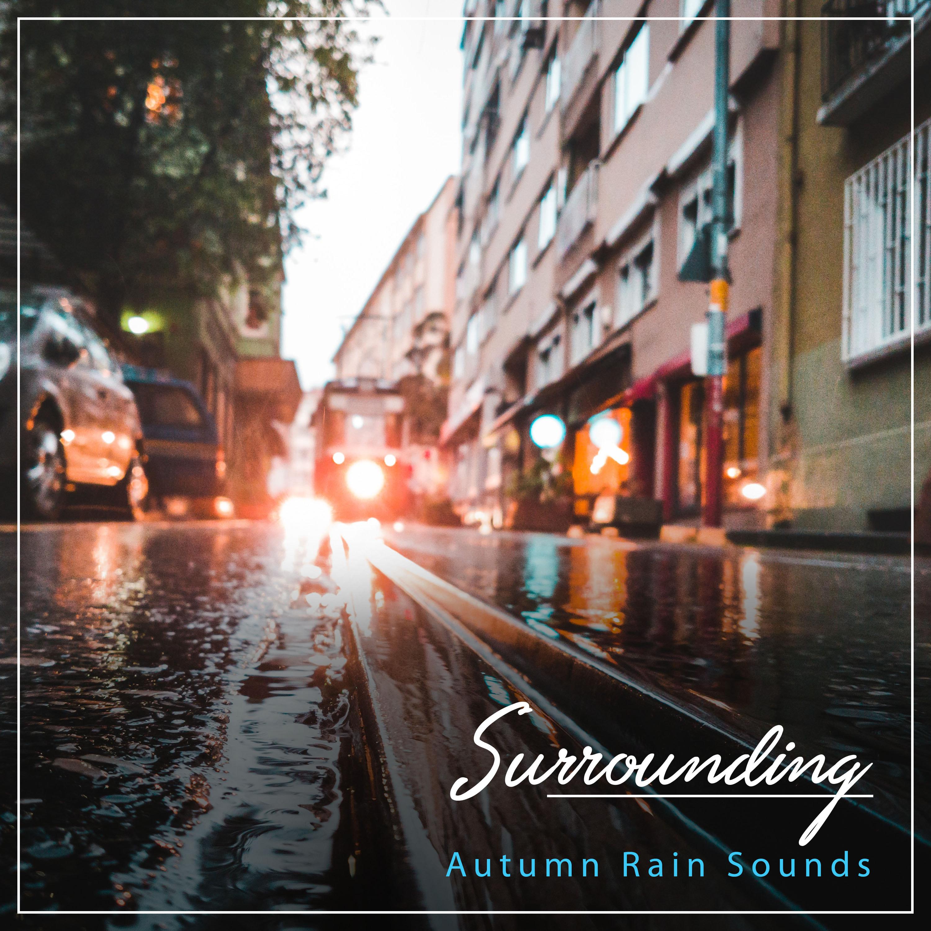 #15 Surrounding Autumn Rain Sounds