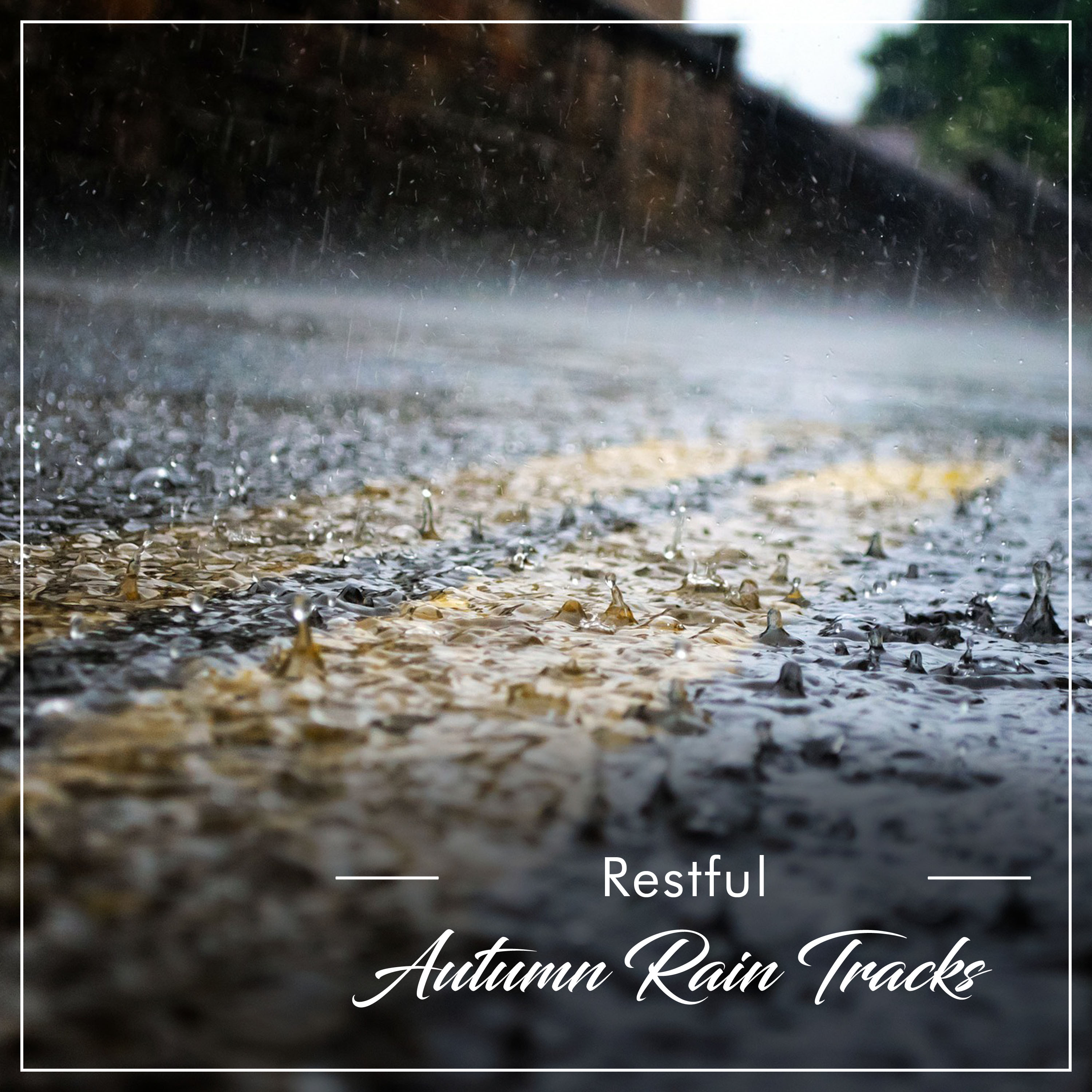 #15 Restful Autumn Rain Tracks