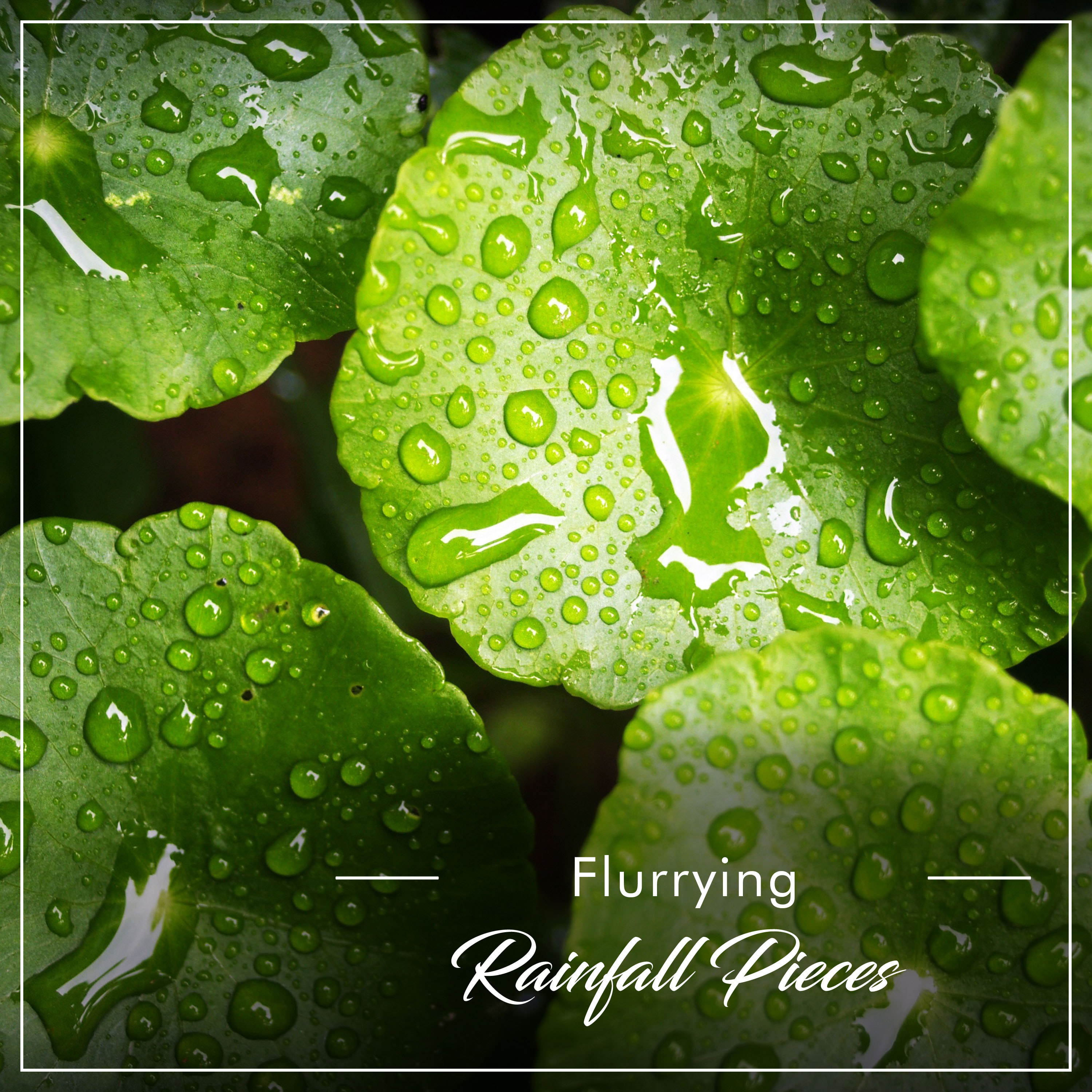 #20 Flurrying Rainfall Pieces from Mother Nature