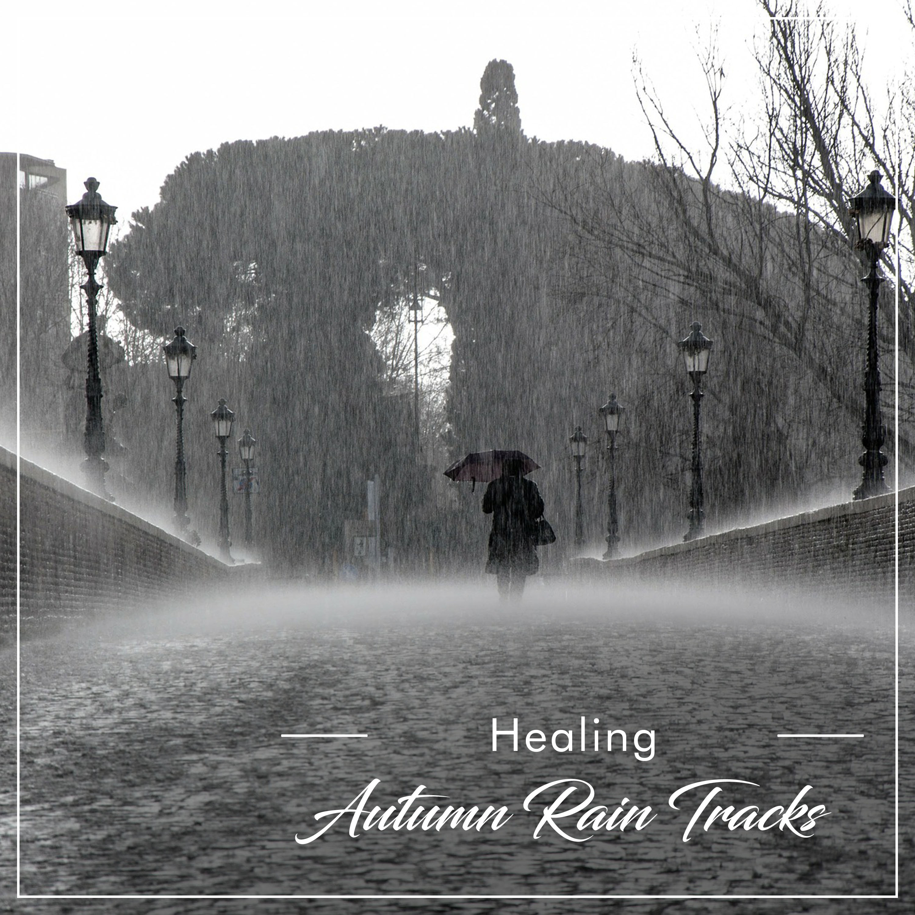 #15 Healing Autumn Rain Tracks for Sleep