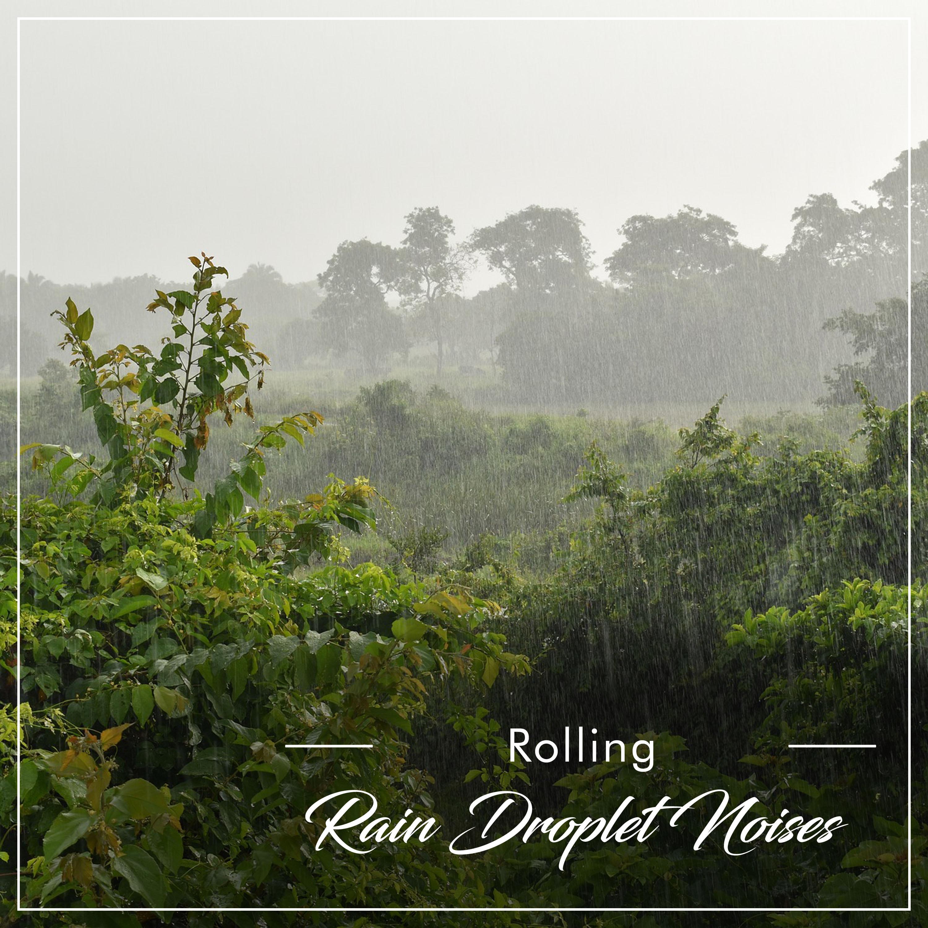 #17 Rolling Rain Droplet Noises from Nature