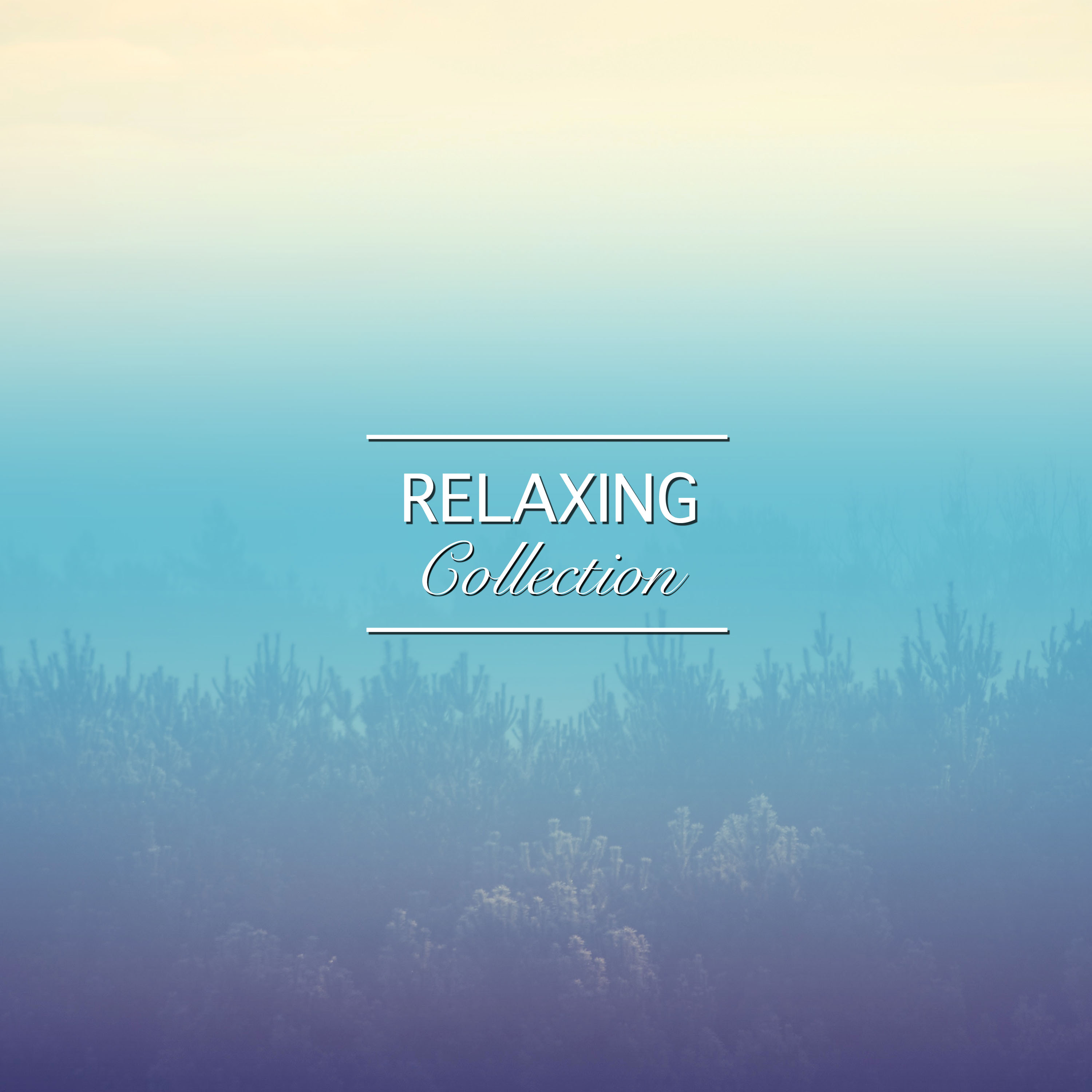 #12 Relaxing Collection for Massage & Pilates