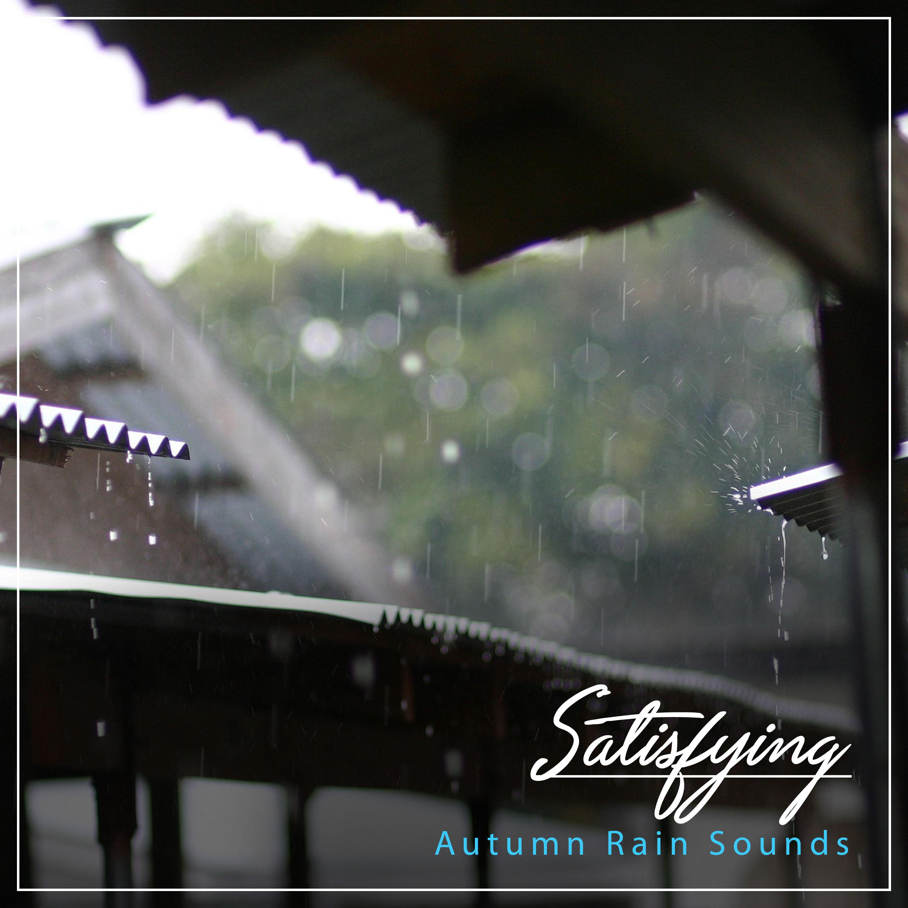 #18 Satisfying Autumn Rain Sounds from Mother Nature