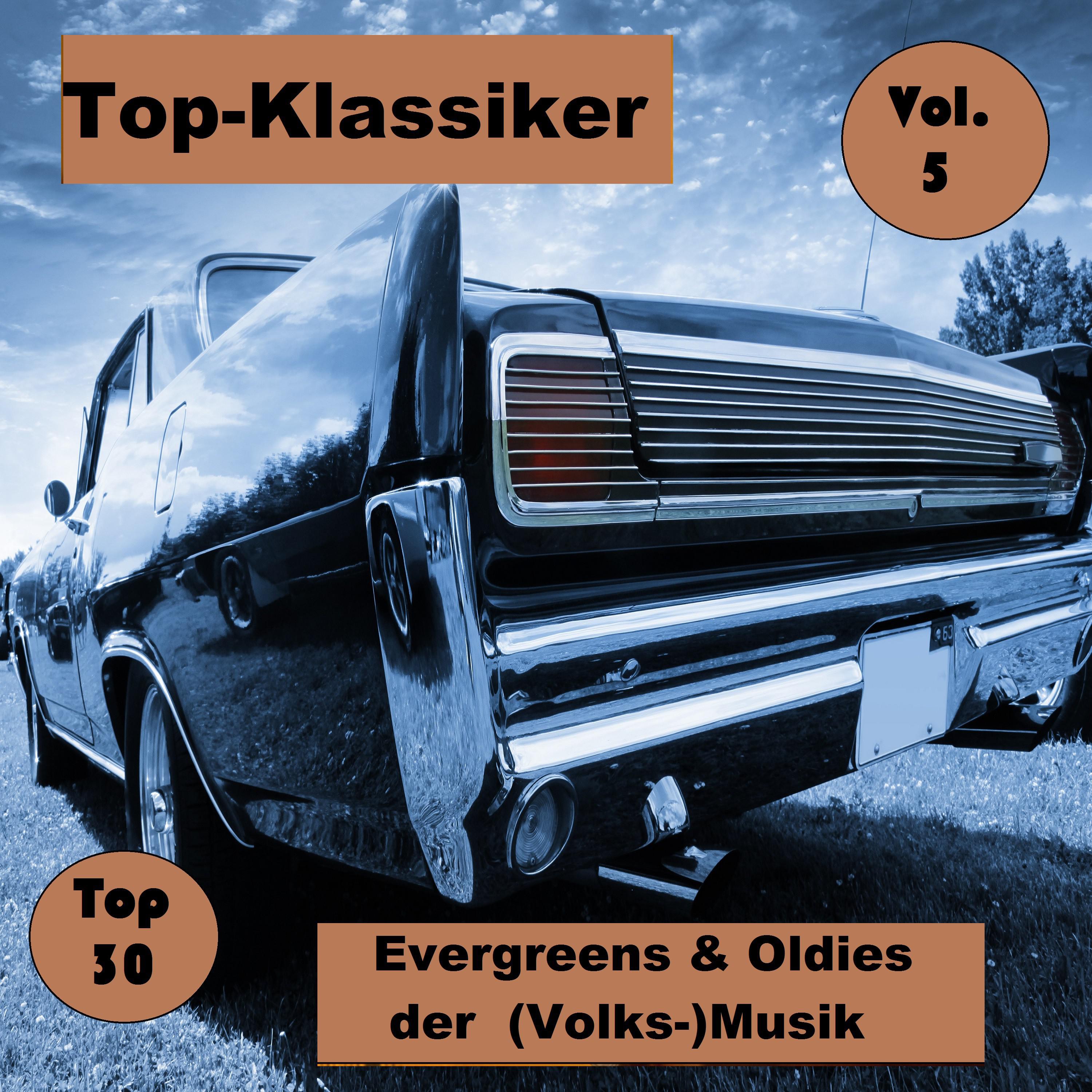 Top 30: Top-Klassiker, Evergreens & Oldies der (Volks-)Musik, Vol. 5