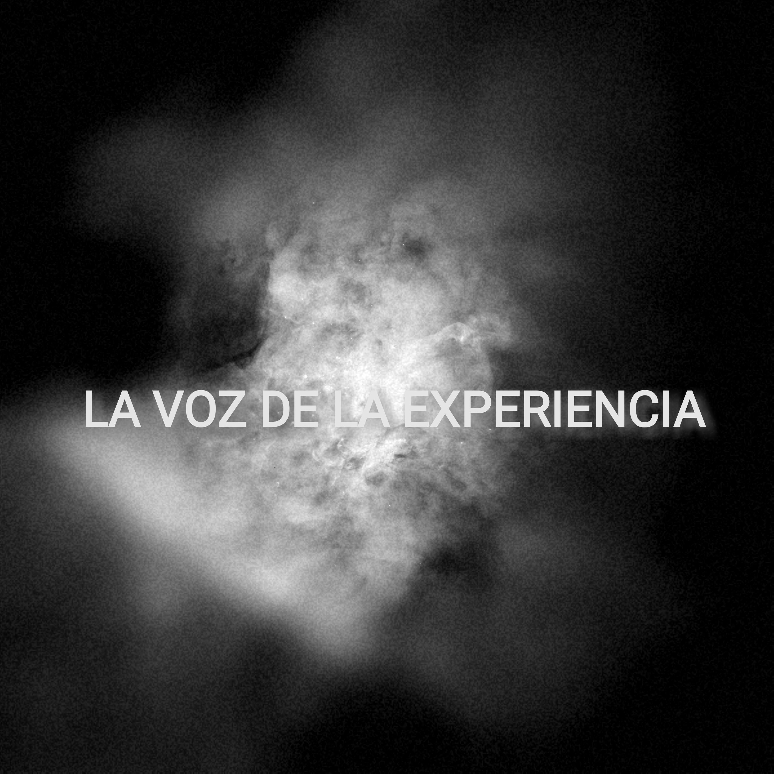 La Voz De La Experiencia