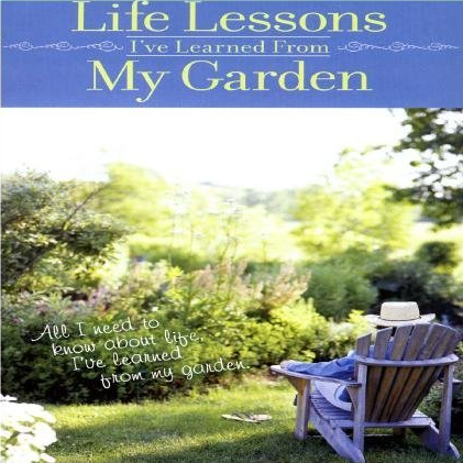Life Lessons I've Learned From My Garden Pt.4