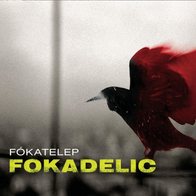 Fokadelic