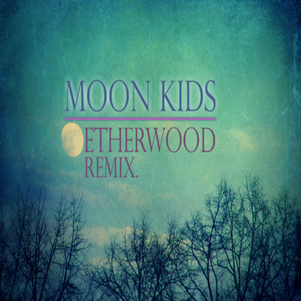 Moon Kids Etherwood Remix