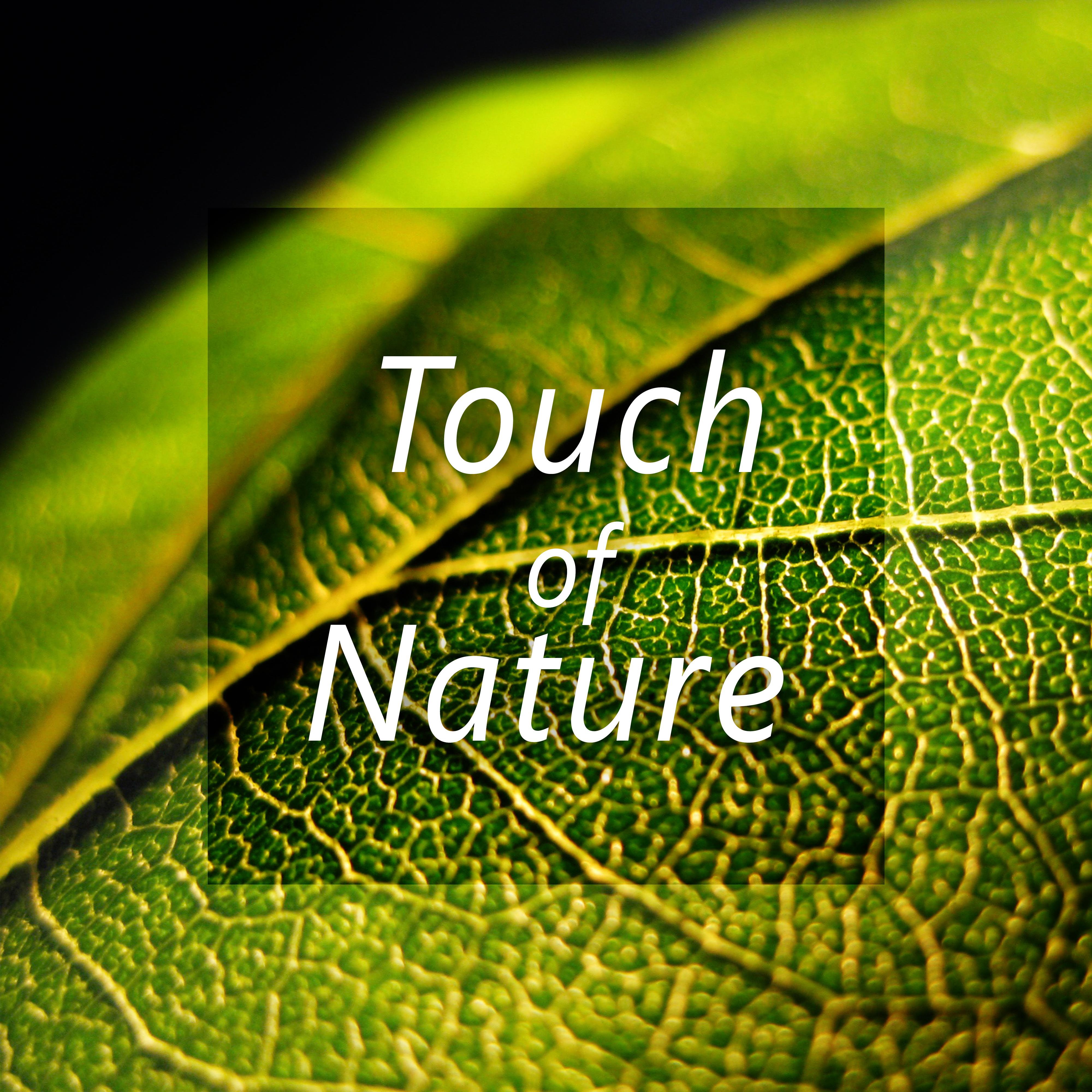 Touch of Nature  Peaceful Music for Total Relaxation, Easy Sleep, Pure Meditation, Spa, Pure Massage
