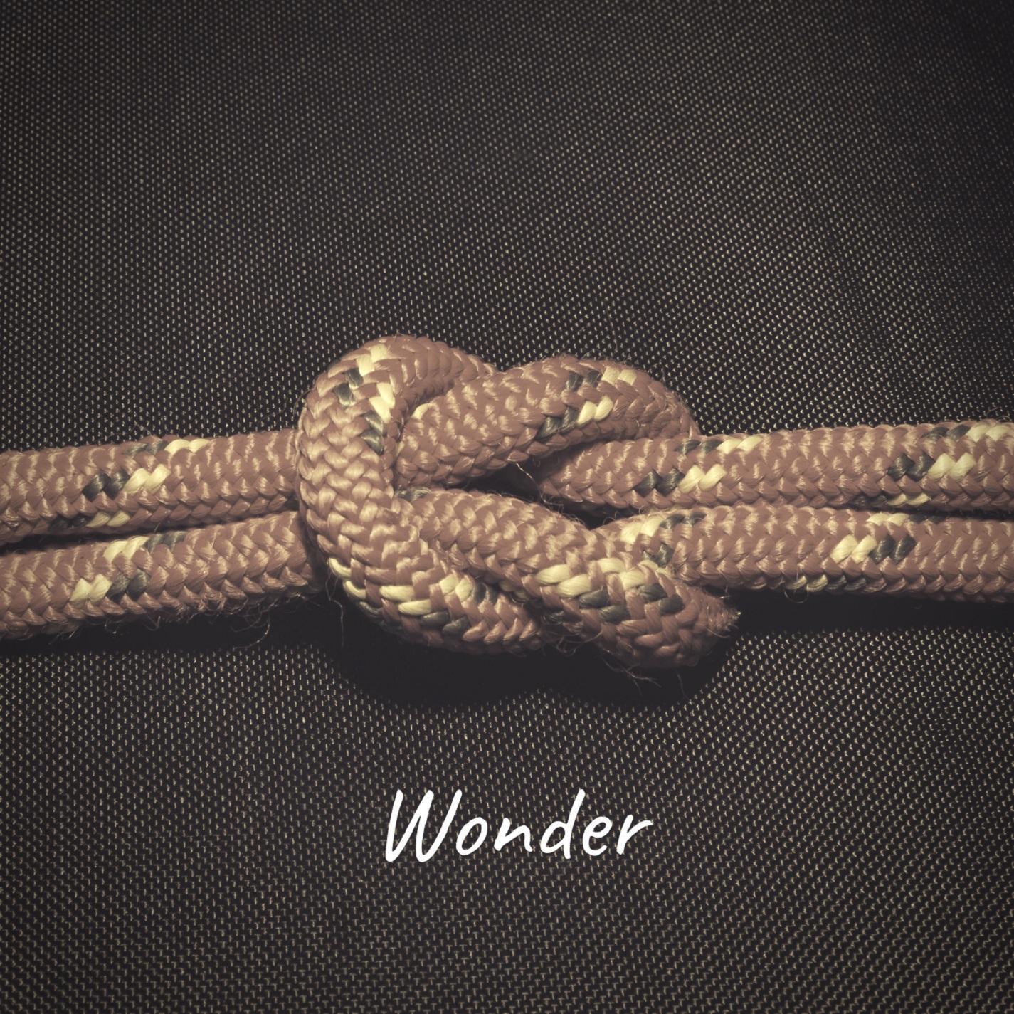 Wonder