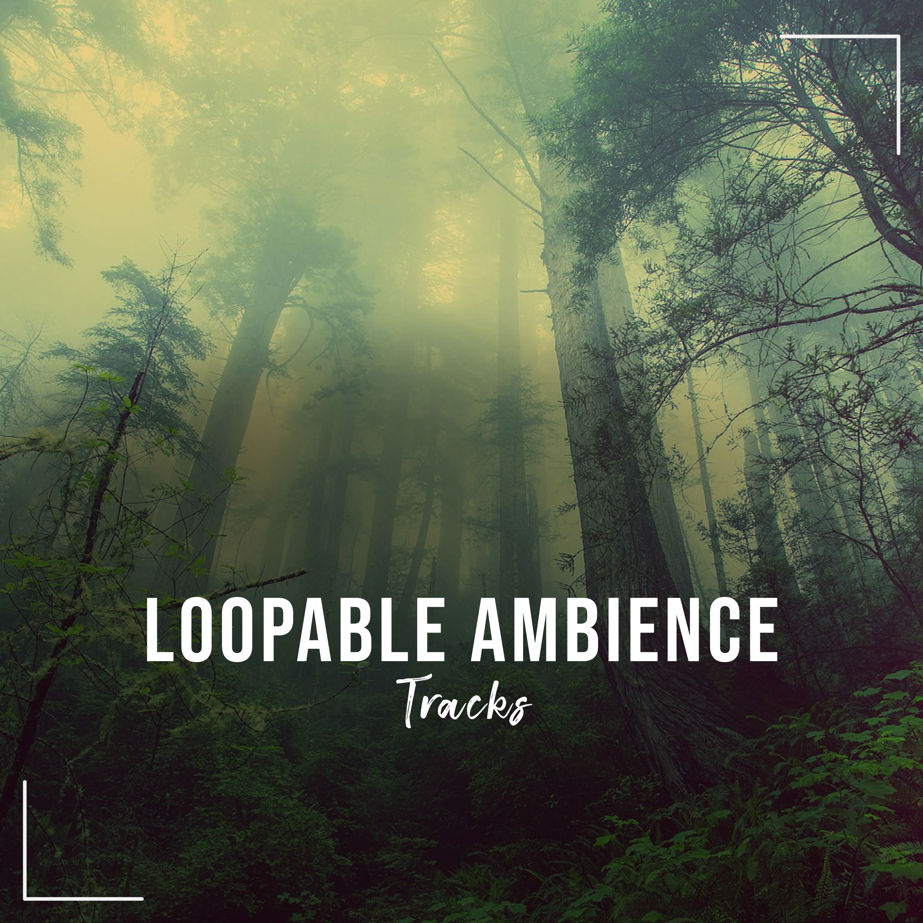 15 Loopable Ambience Tracks zur Erleuchtung