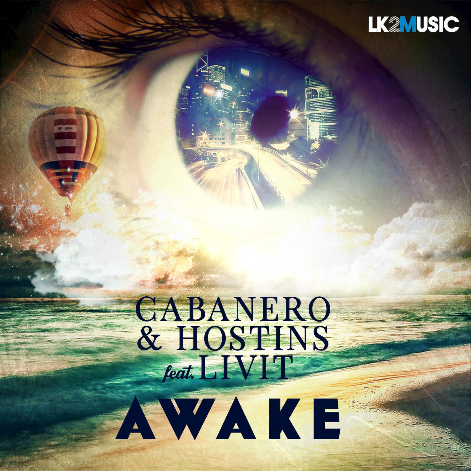 Awake (feat. Livit) - Single