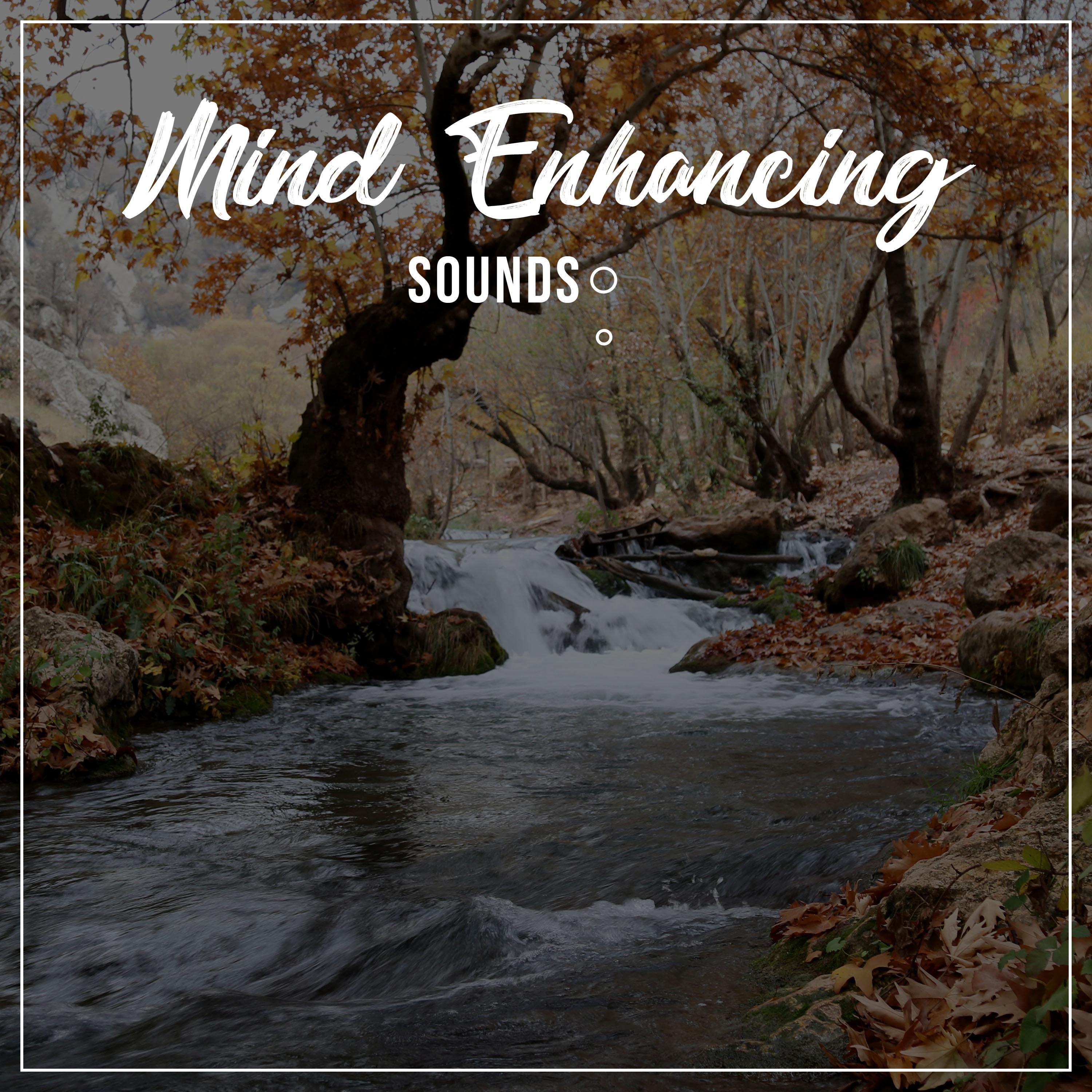 #12 Mind Enhancing Sounds to Promote Wellness & Chakra Healing