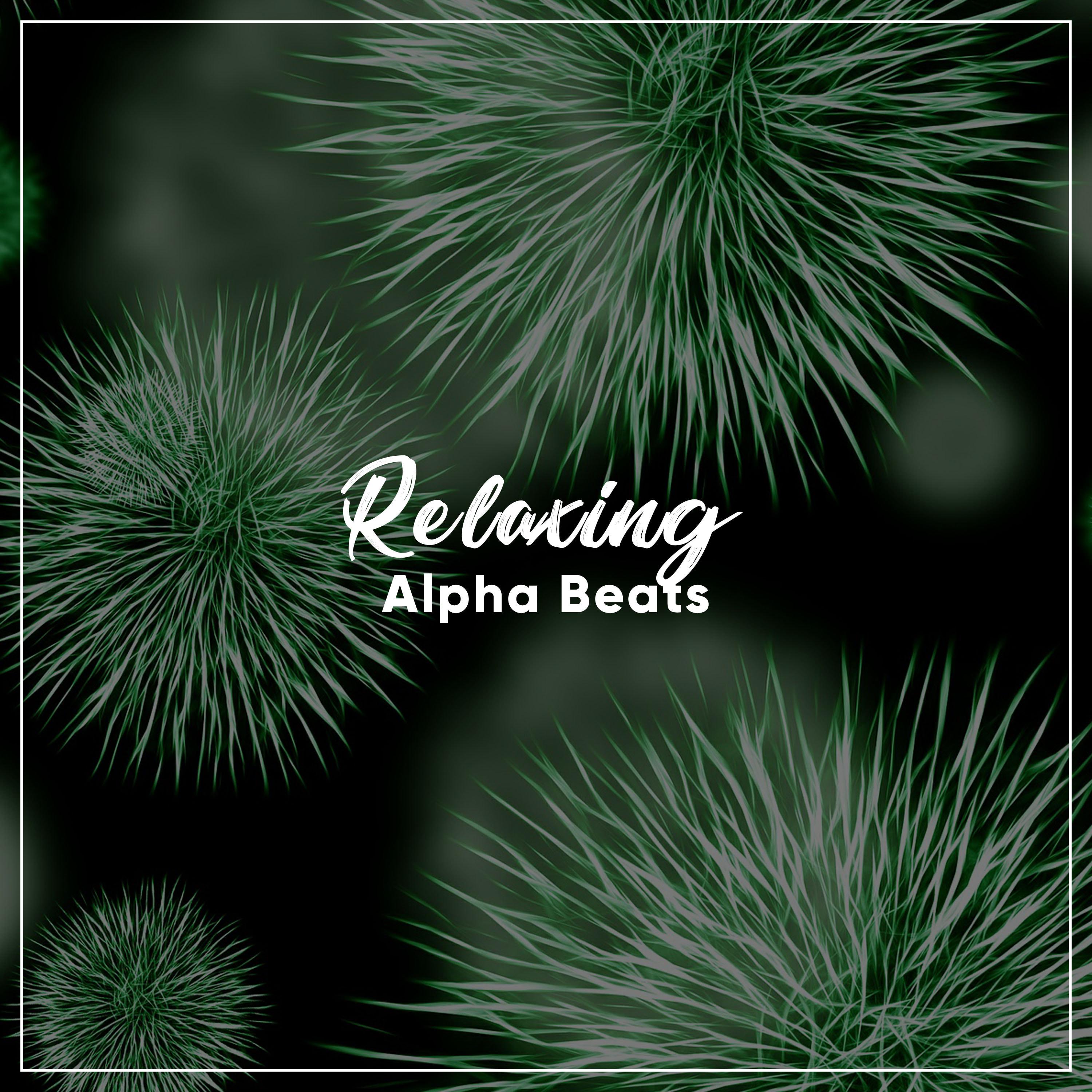 #11 Relaxing Alpha Beats