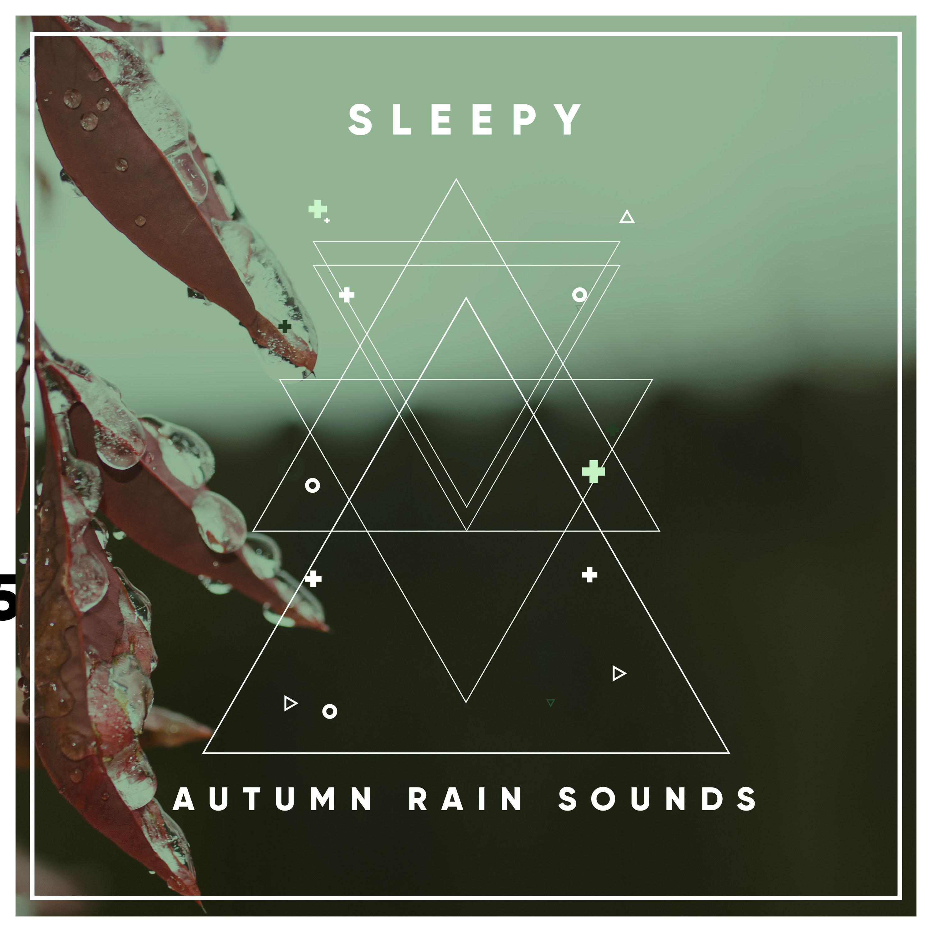 #20 Sleepy Autumn Rain Sounds from Nature