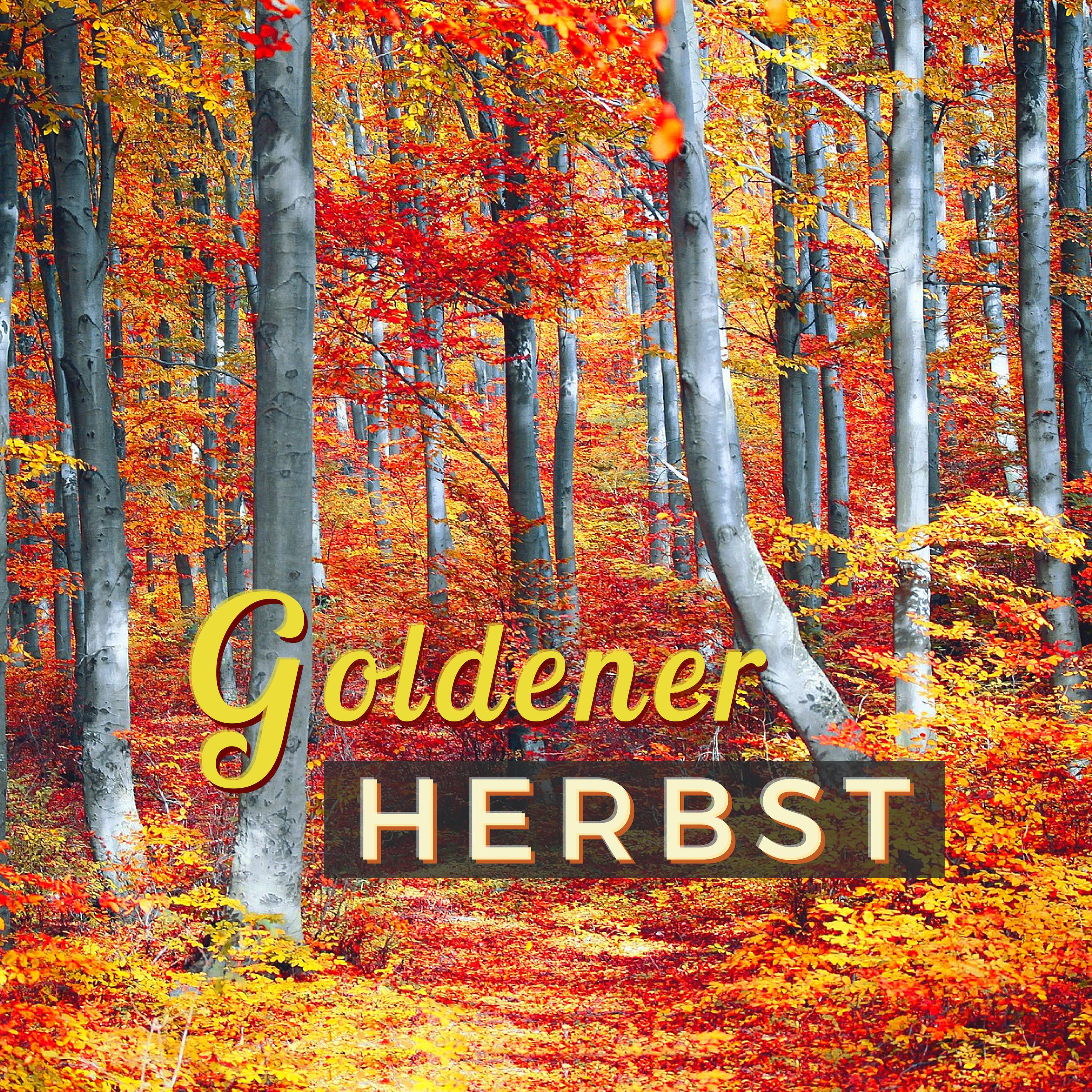 Die Farben des Herbstes