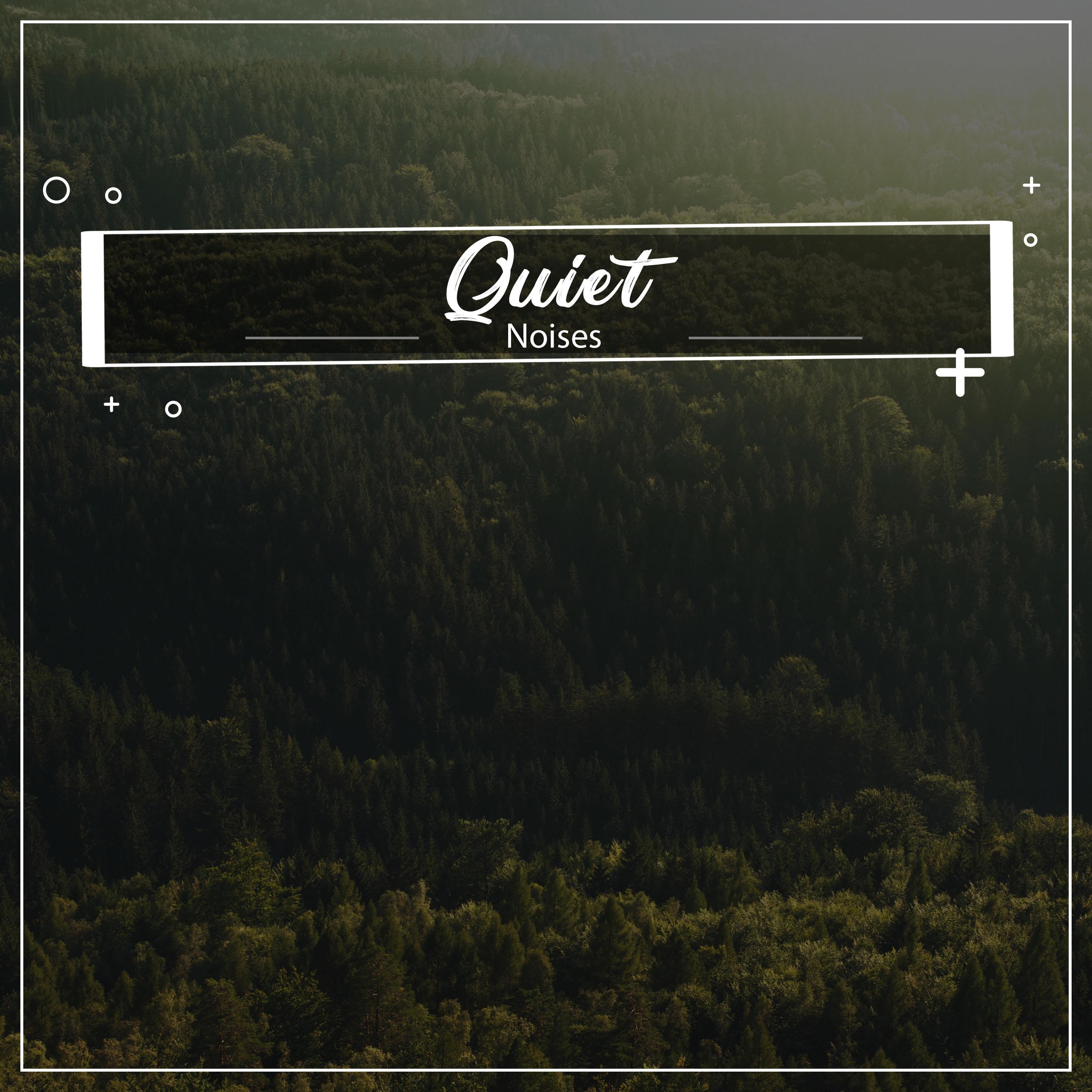 #19 Quiet Noises for Yoga, Zen and Meditation