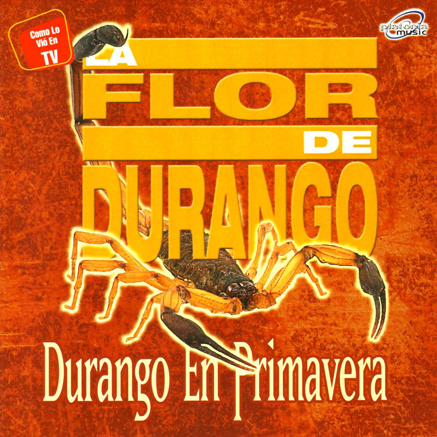 Durango en Primavera