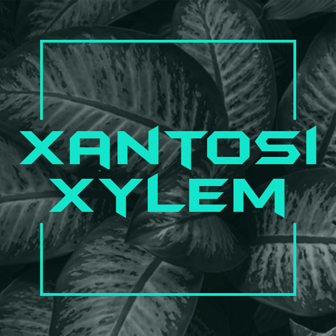 XYLEM