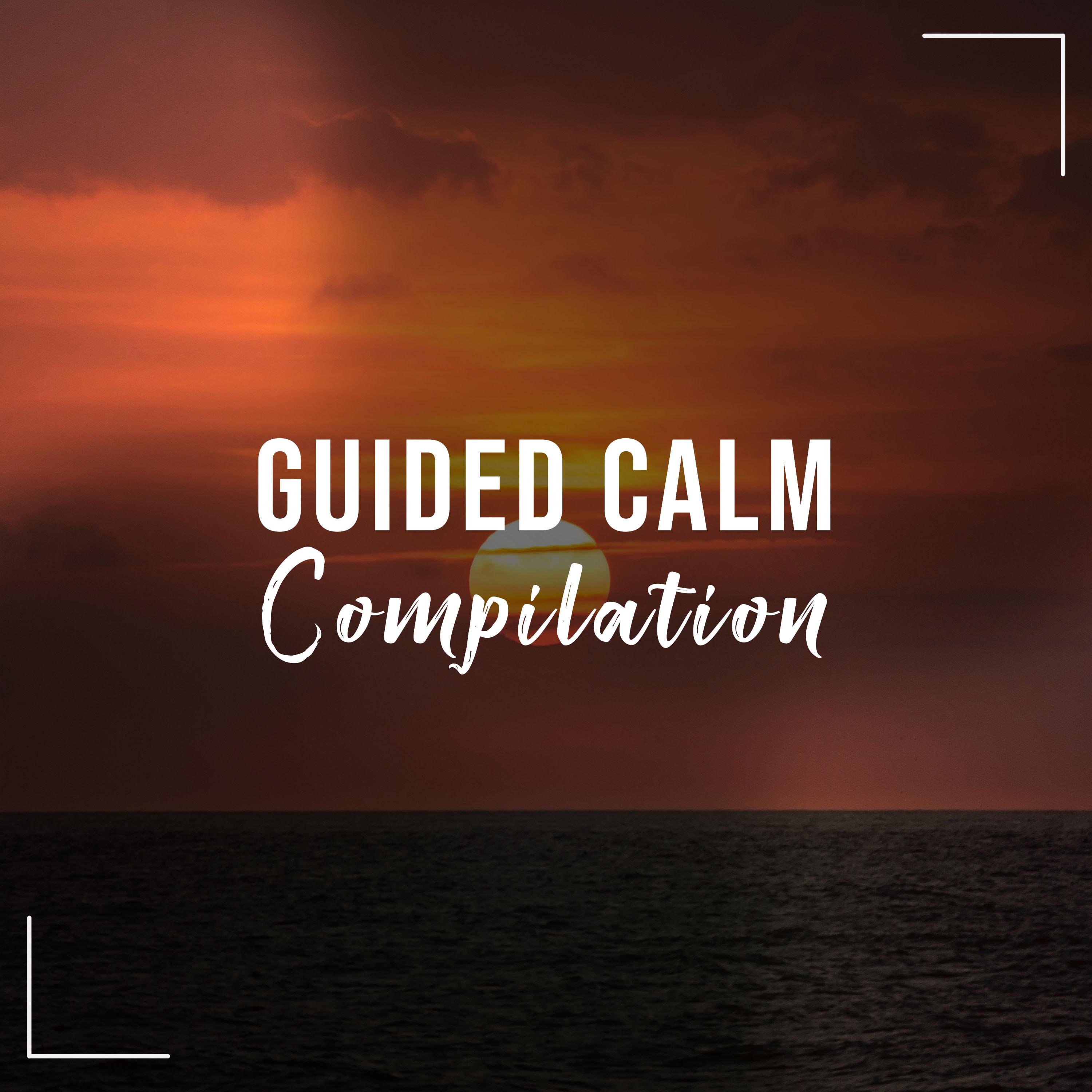 #15 Guided Calm Compilation for Sleep and Relaxation