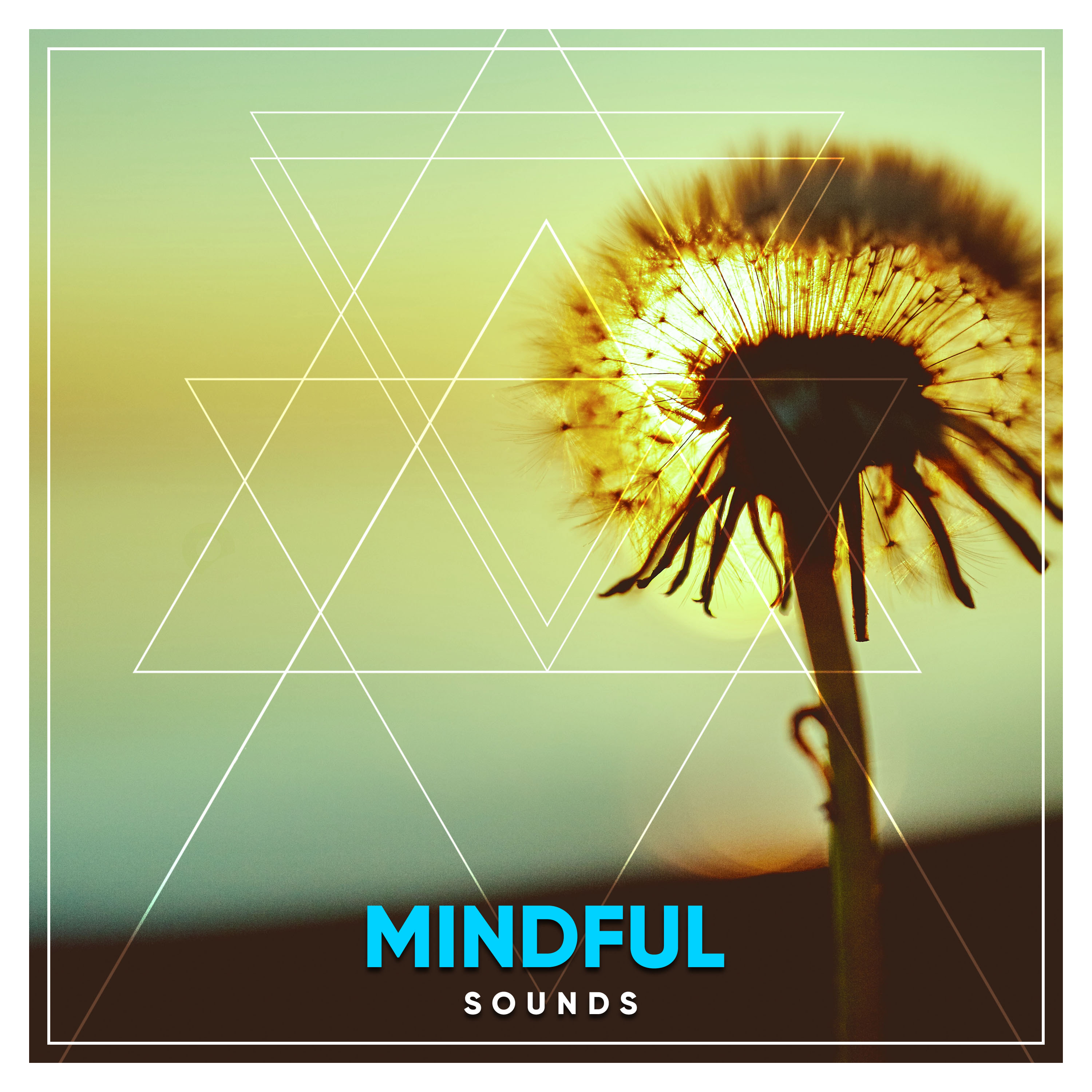 #15 Mindful Sounds for Guided Meditation & Relaxation