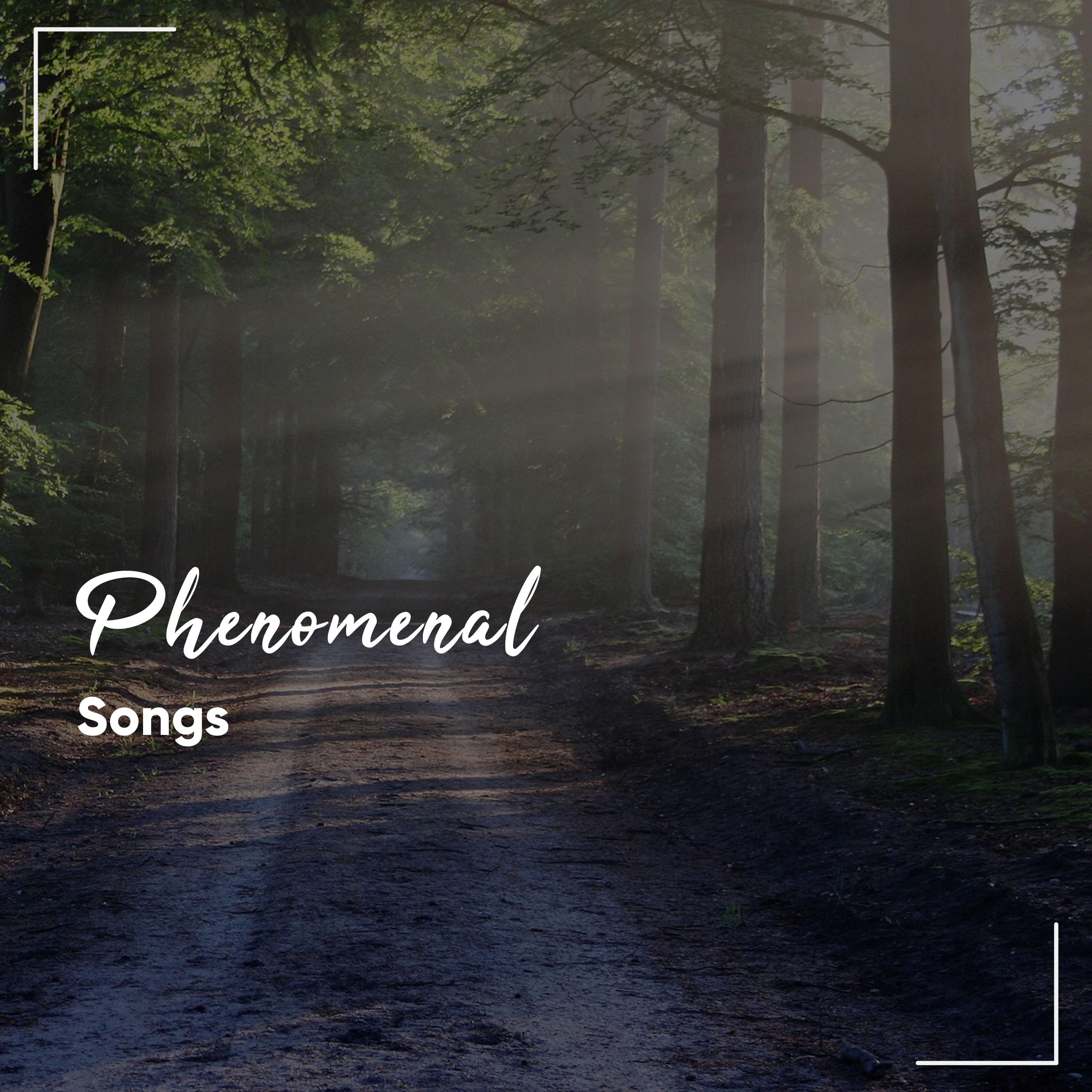 #21 Phenomenal Songs for Relaxation & Mindfulness