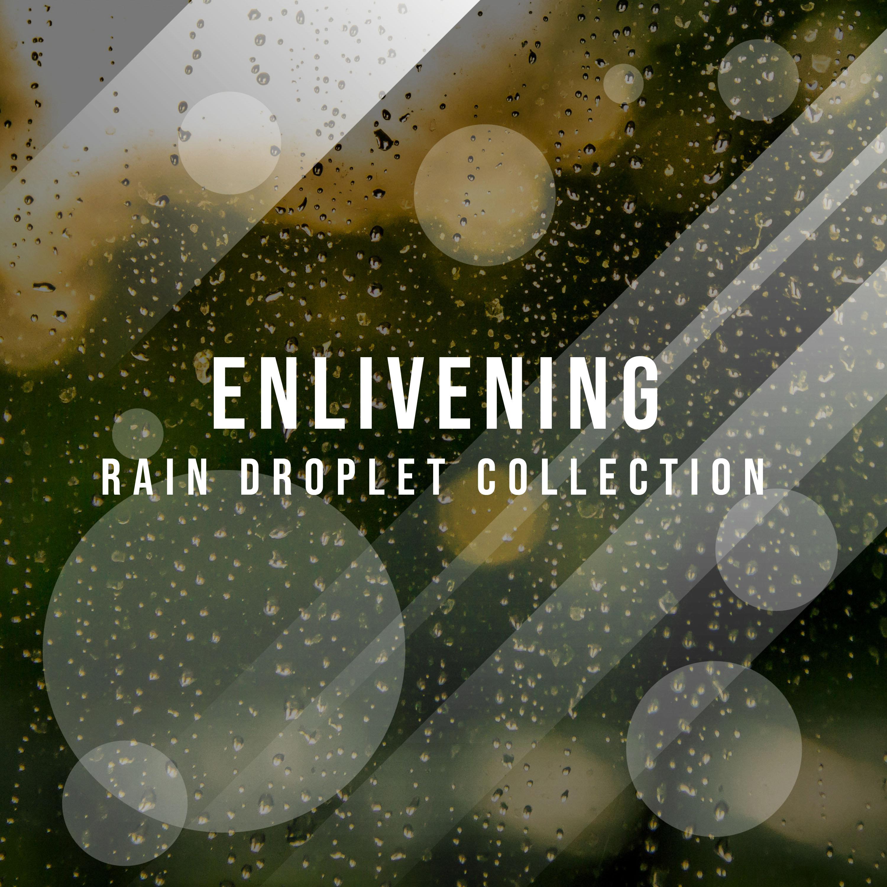 #14 Enlivening Rain Droplet Collection for Zen White Noise Meditation & Yoga