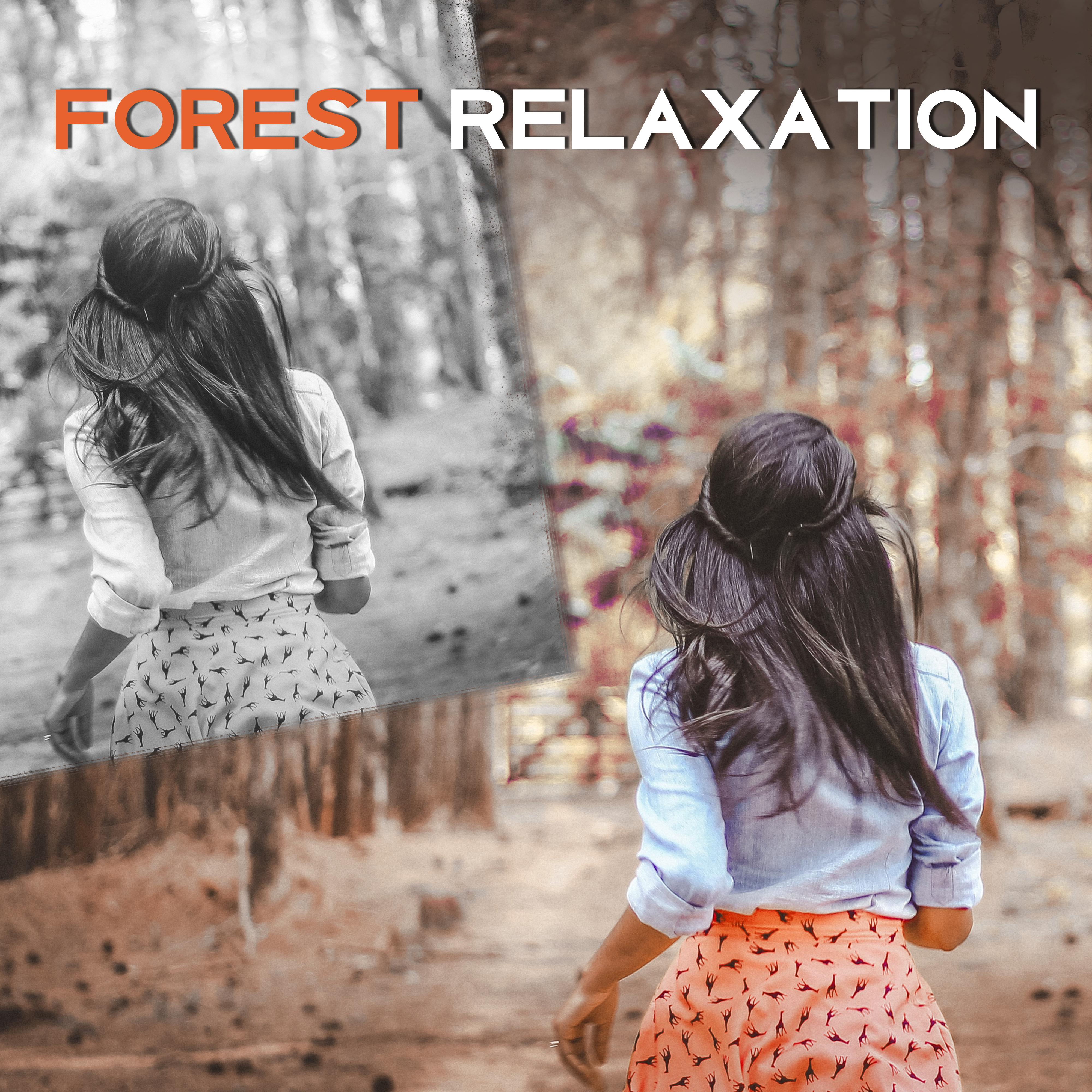 Forest Relaxation  Calming Sounds, Healing Nature, Music to Rest  Relax, Stress Relief, Peaceful Spirit