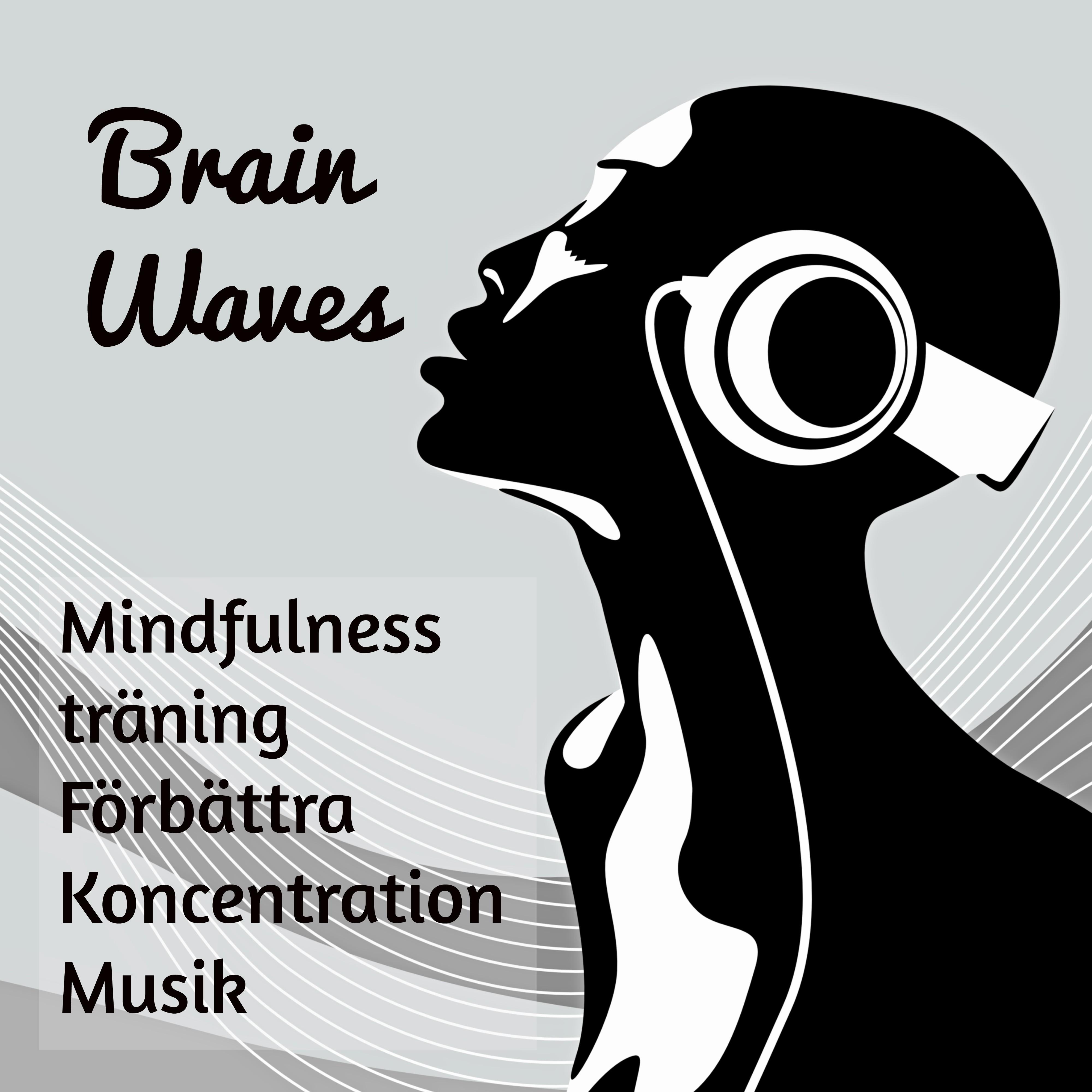 Brain Waves  Mindfulnesstr ning F rb ttra Koncentration Musik med Instrumental New Age Ljud