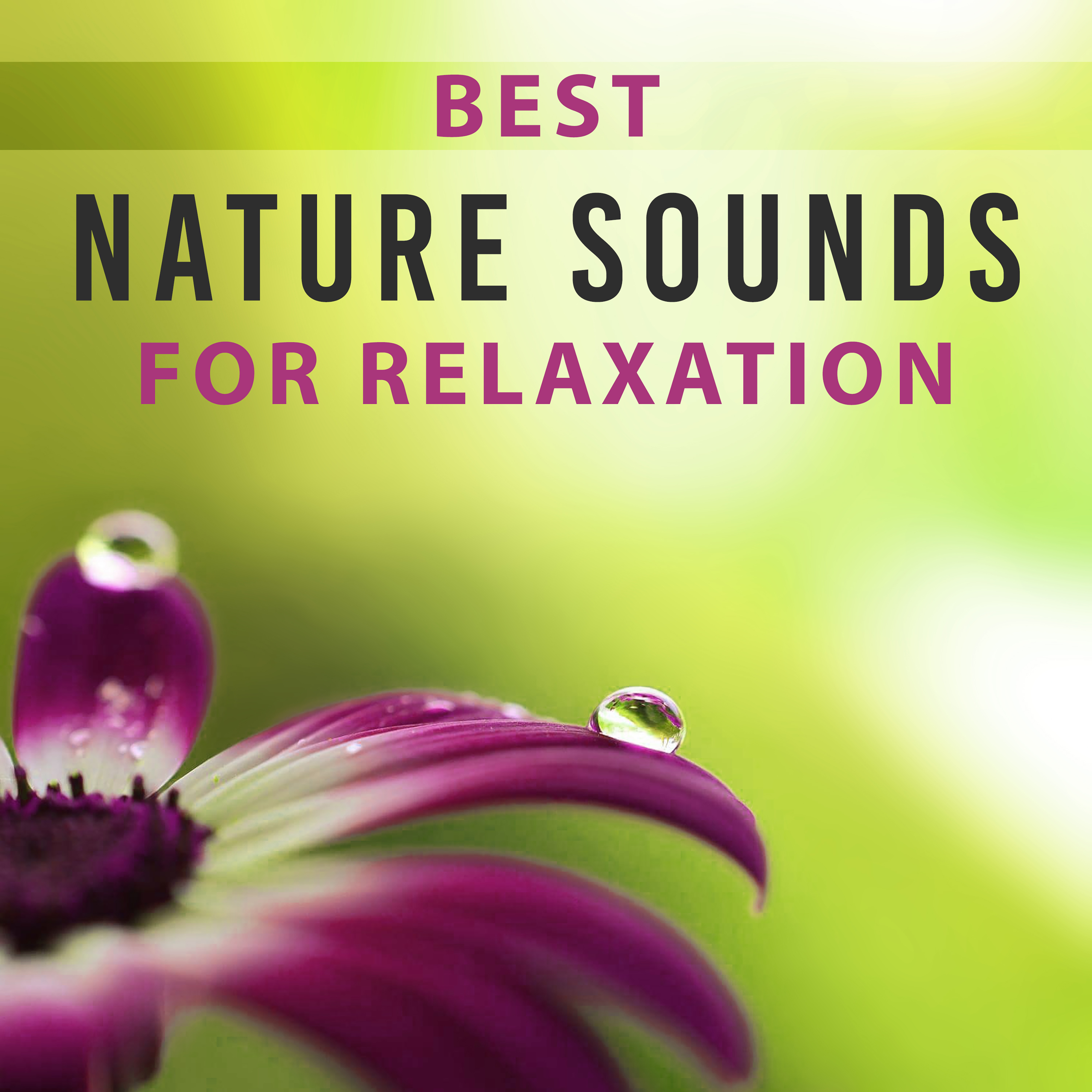 Best Nature Sounds for Relaxation  Soothing New Age Music, Nature Sounds to Relax, Best Music to Calm Down