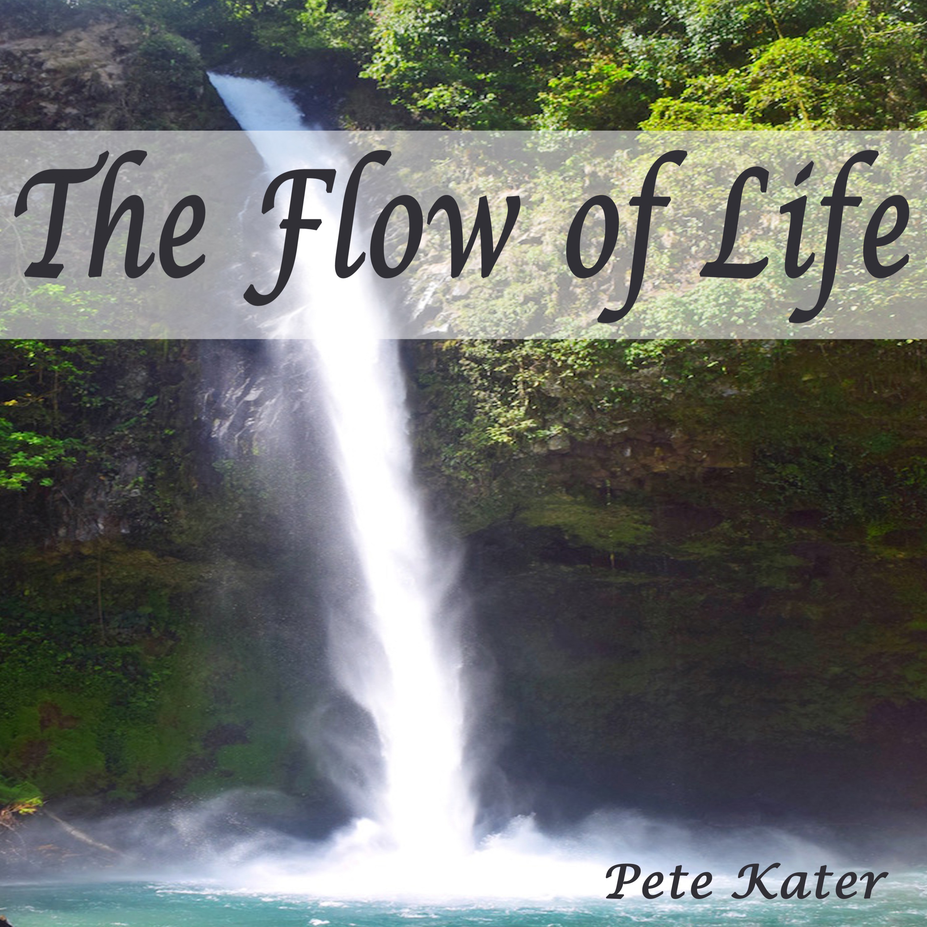 Life the Unfolding Flow