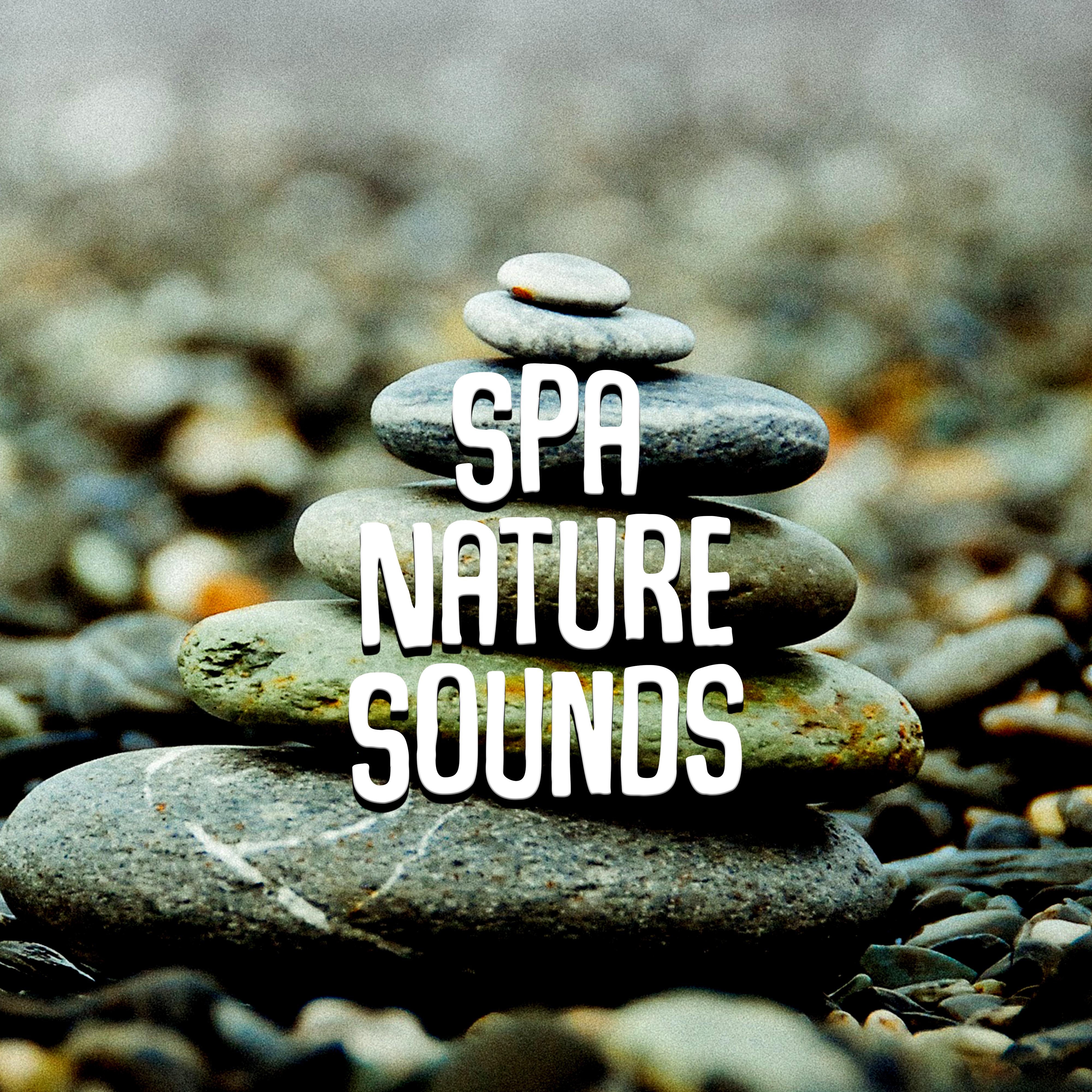 Spa Nature Sounds  Relaxation Sounds for Wellness, Spa, Calm Nature Sounds, Calming Water, Peaceful Waves
