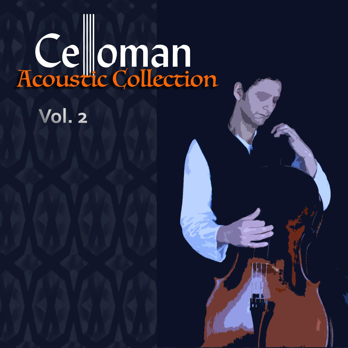 Acoustic Collection, Vol. 2