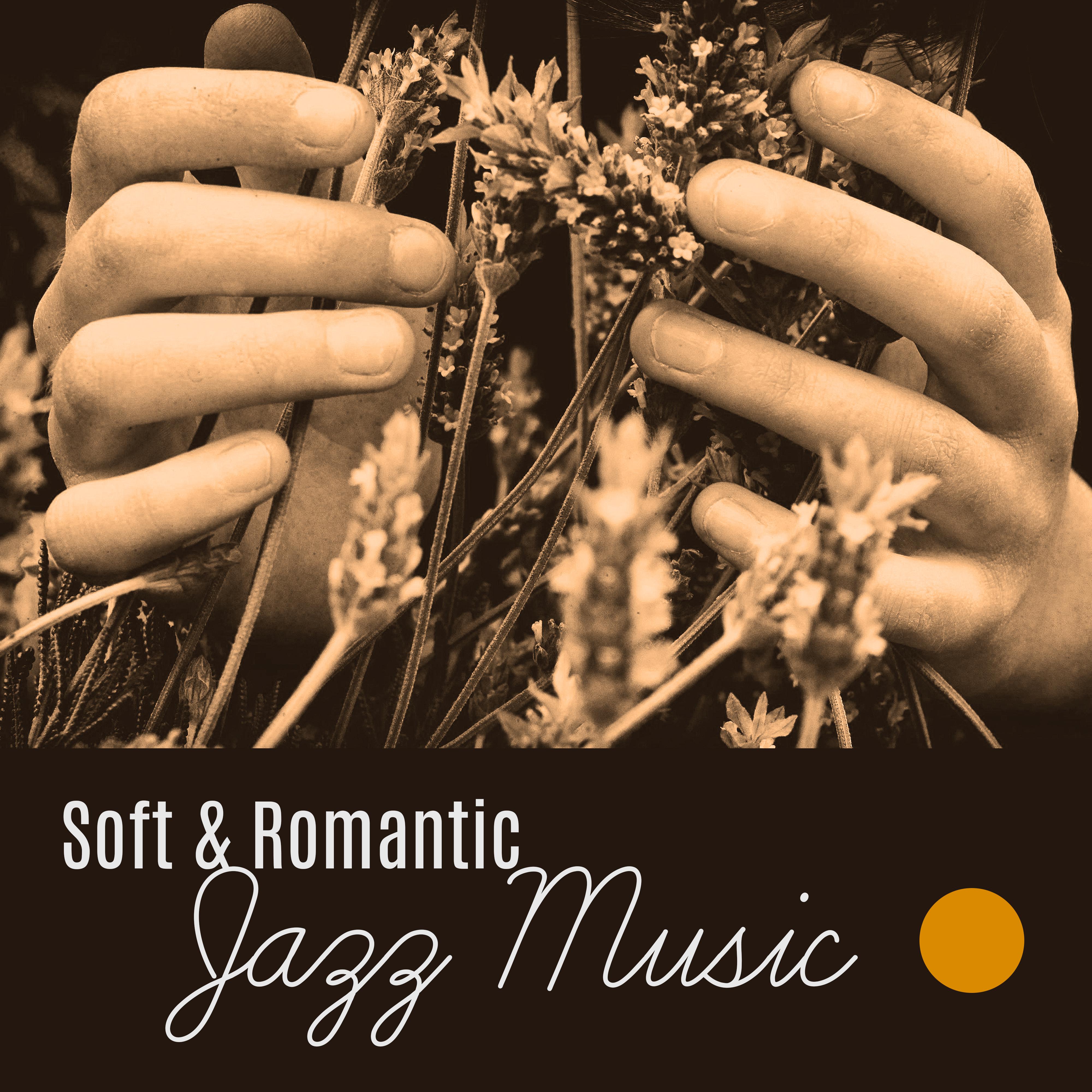 Soft  Romantic Jazz Music  Relaxing Jazz, Erotic Sounds, Peaceful Music for Lovers