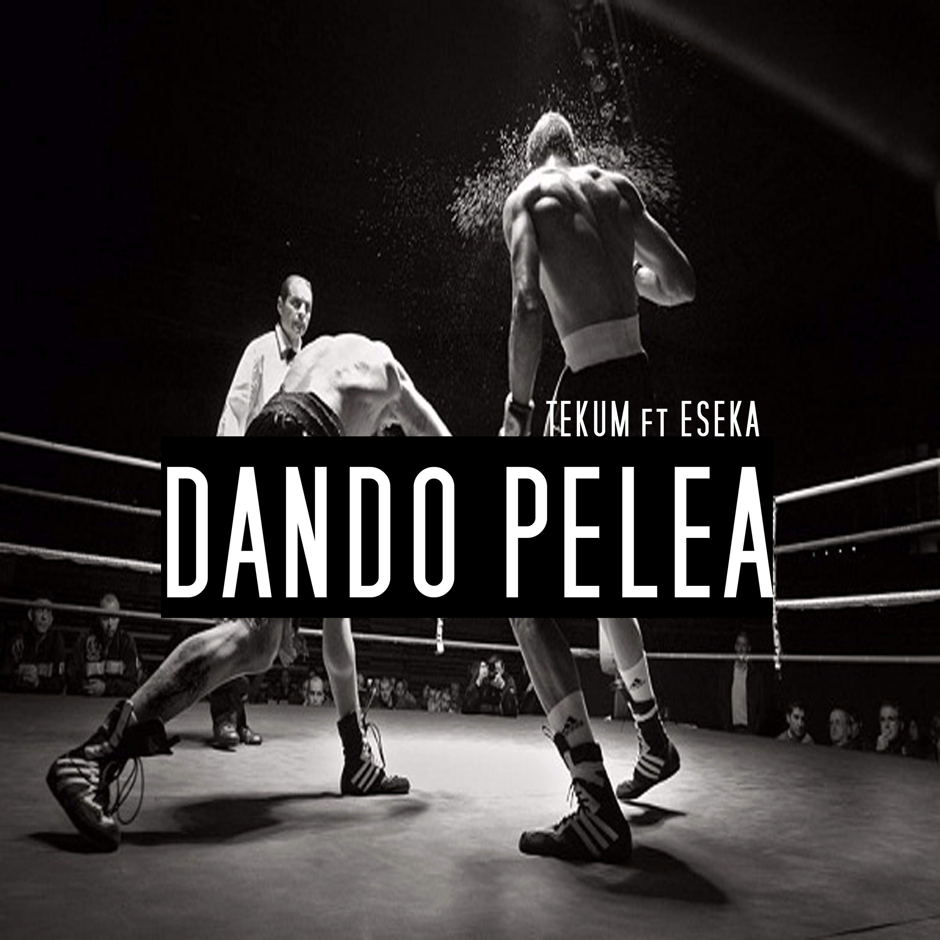 Dando Pelea (feat. Eseka Rac)