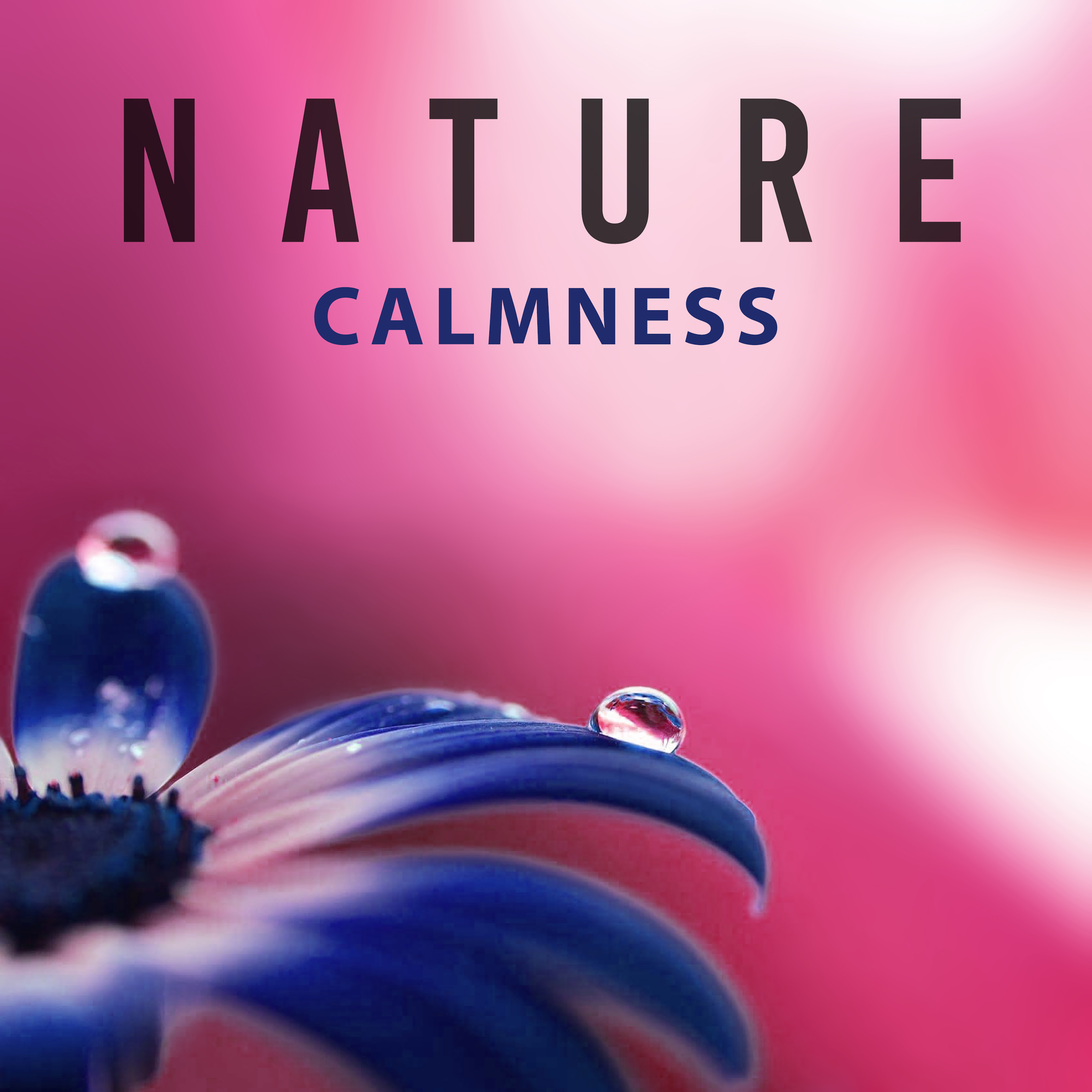 Nature Calmness  Soft Sounds to Relax, Music to Rest, Healing Waves, Chill with New Age