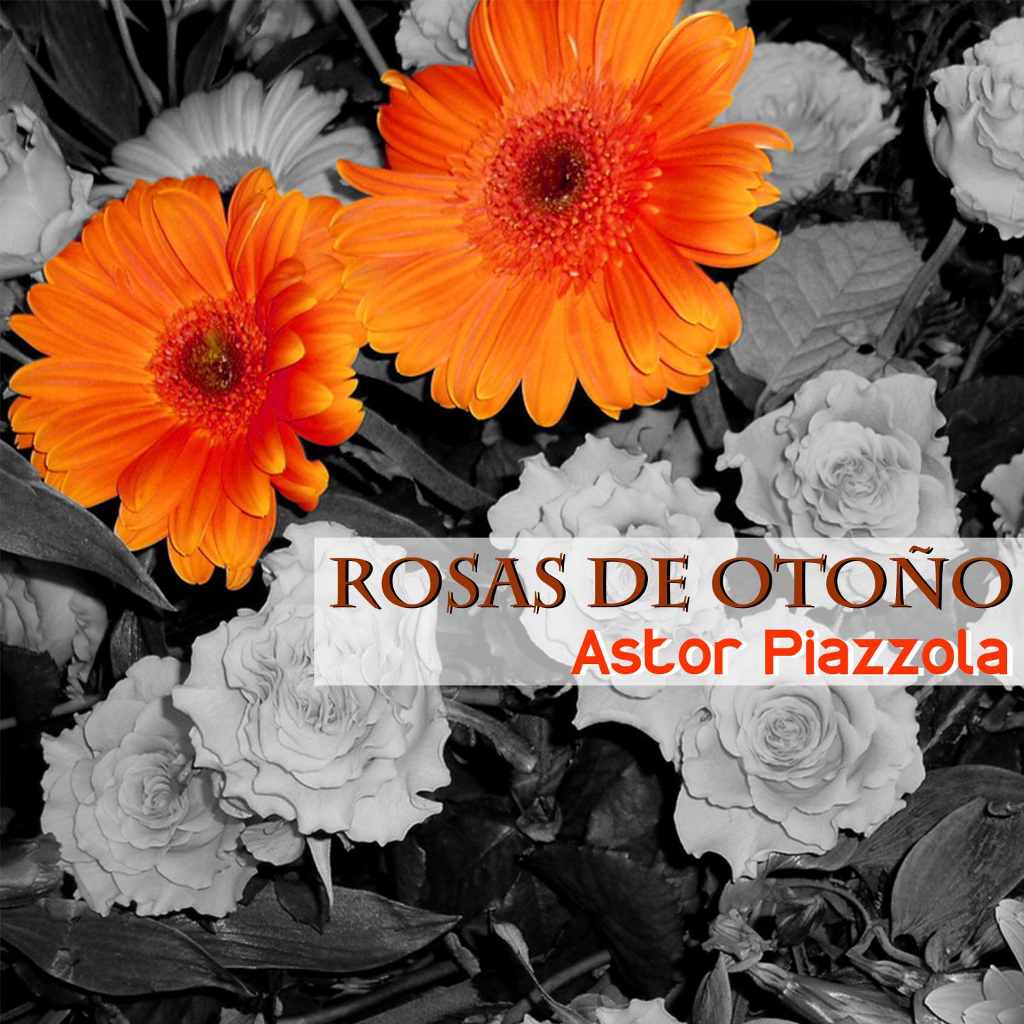 Rosas de Oto o