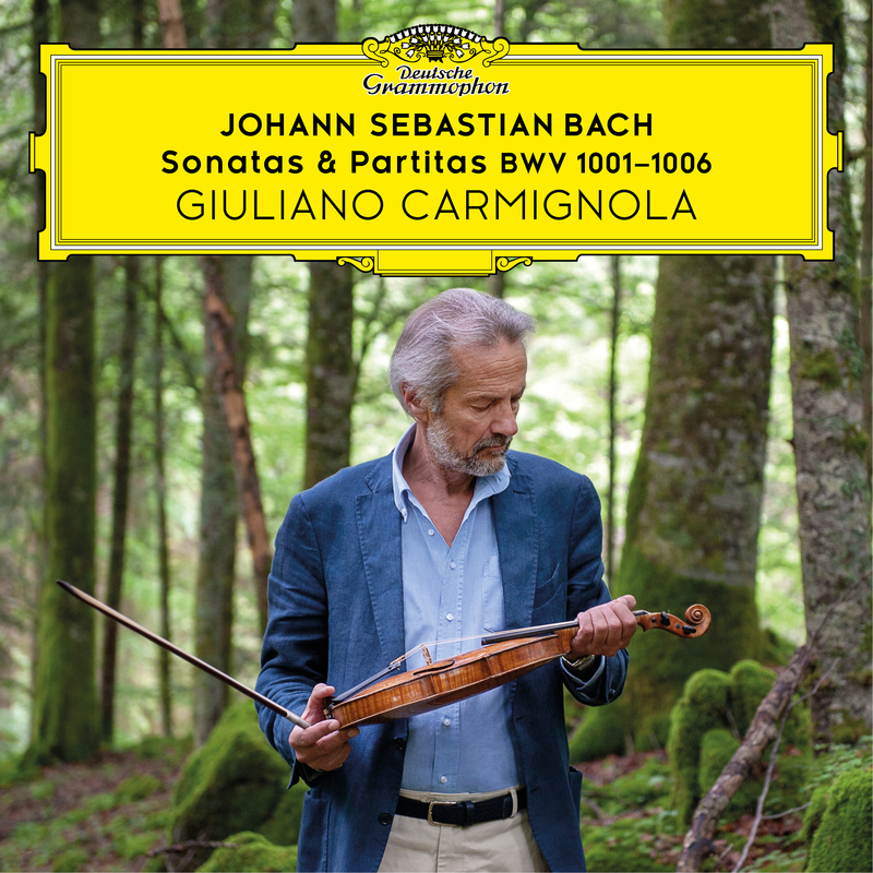 Sonata for Violin Solo No. 2 in A Minor, BWV 1003:3. Andante