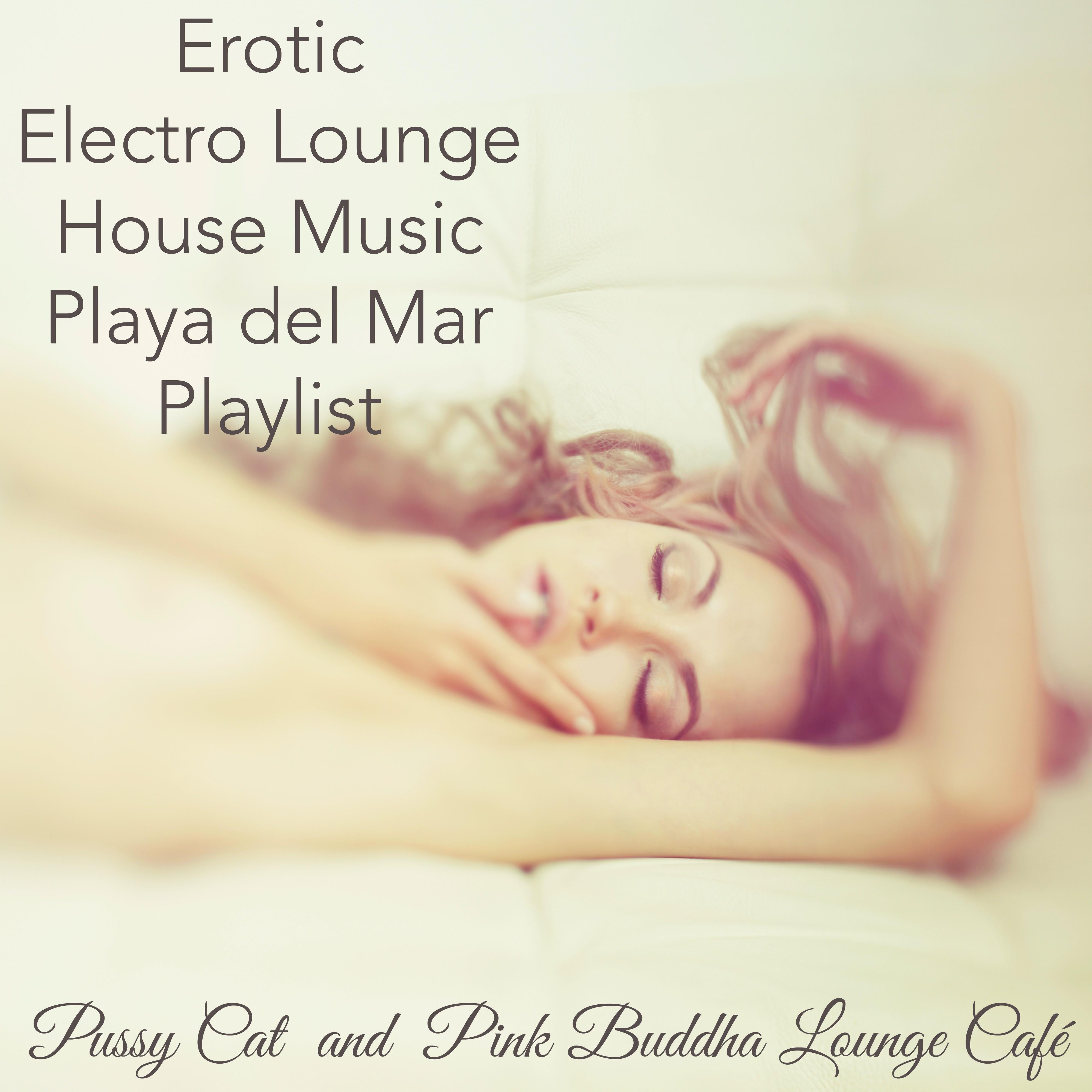 Erotic Electro Lounge House Music Playa del Mar Playlist