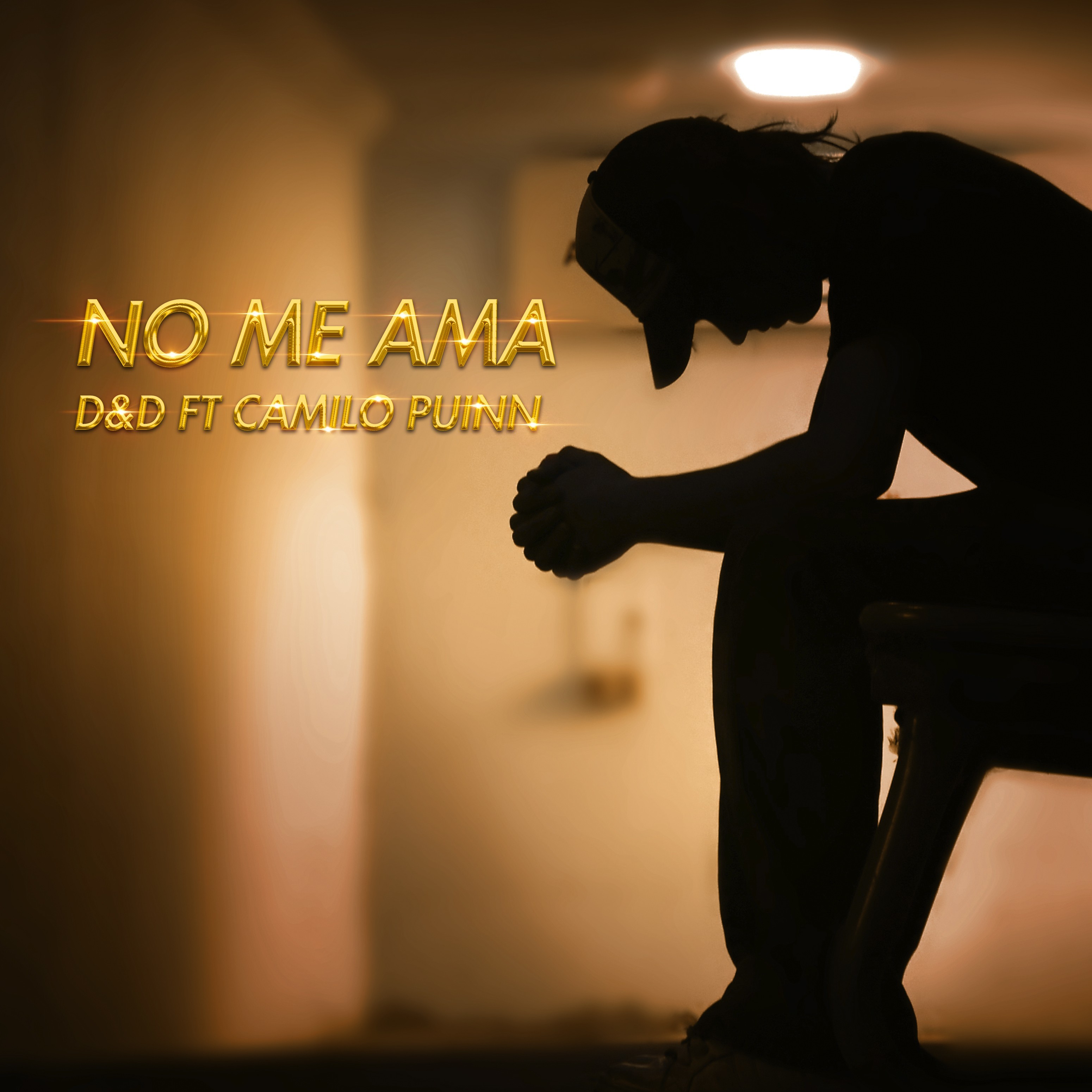 No Me Ama (feat. Camilo Puinn)