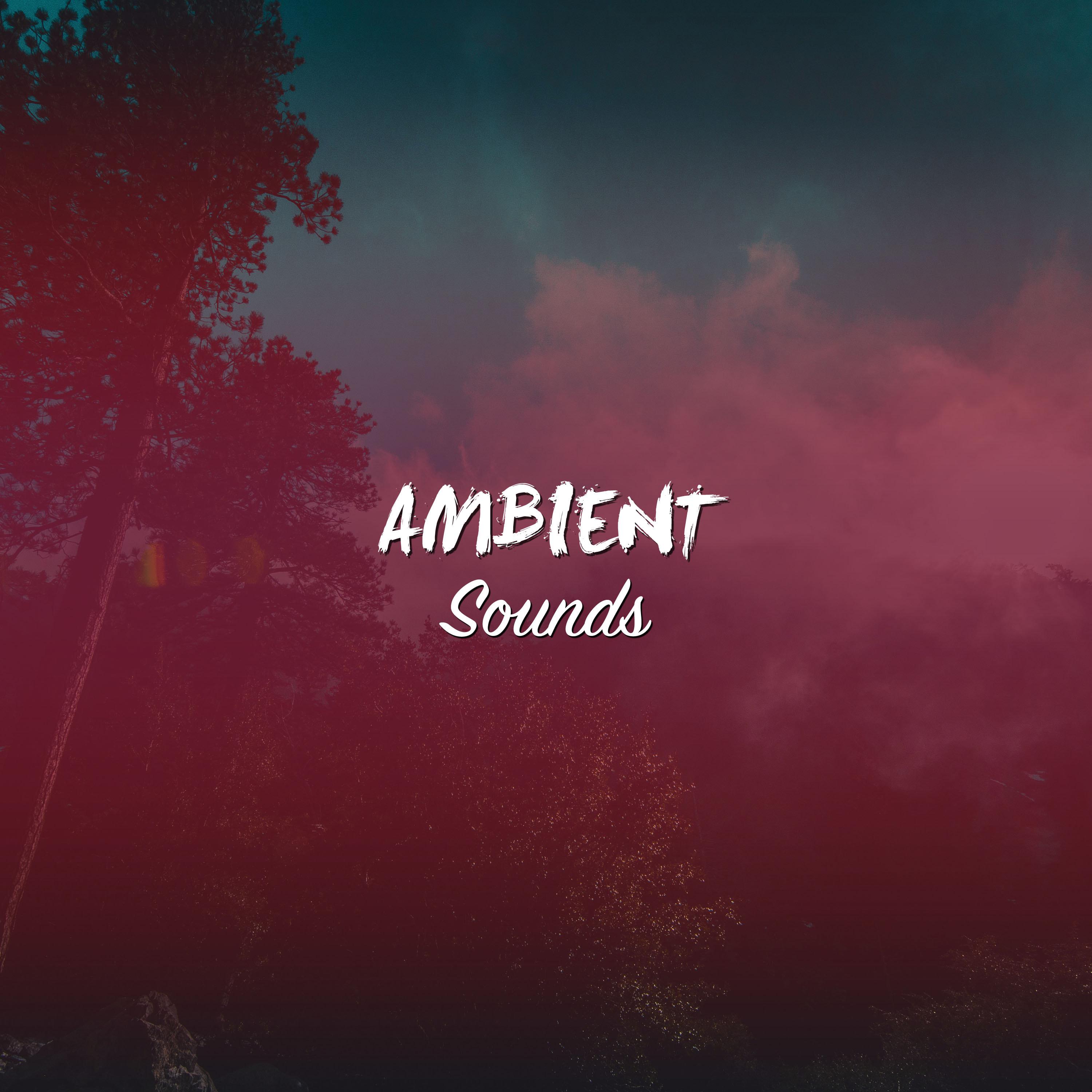 #15 Ambient Sounds for Meditation, Spa and Relaxation