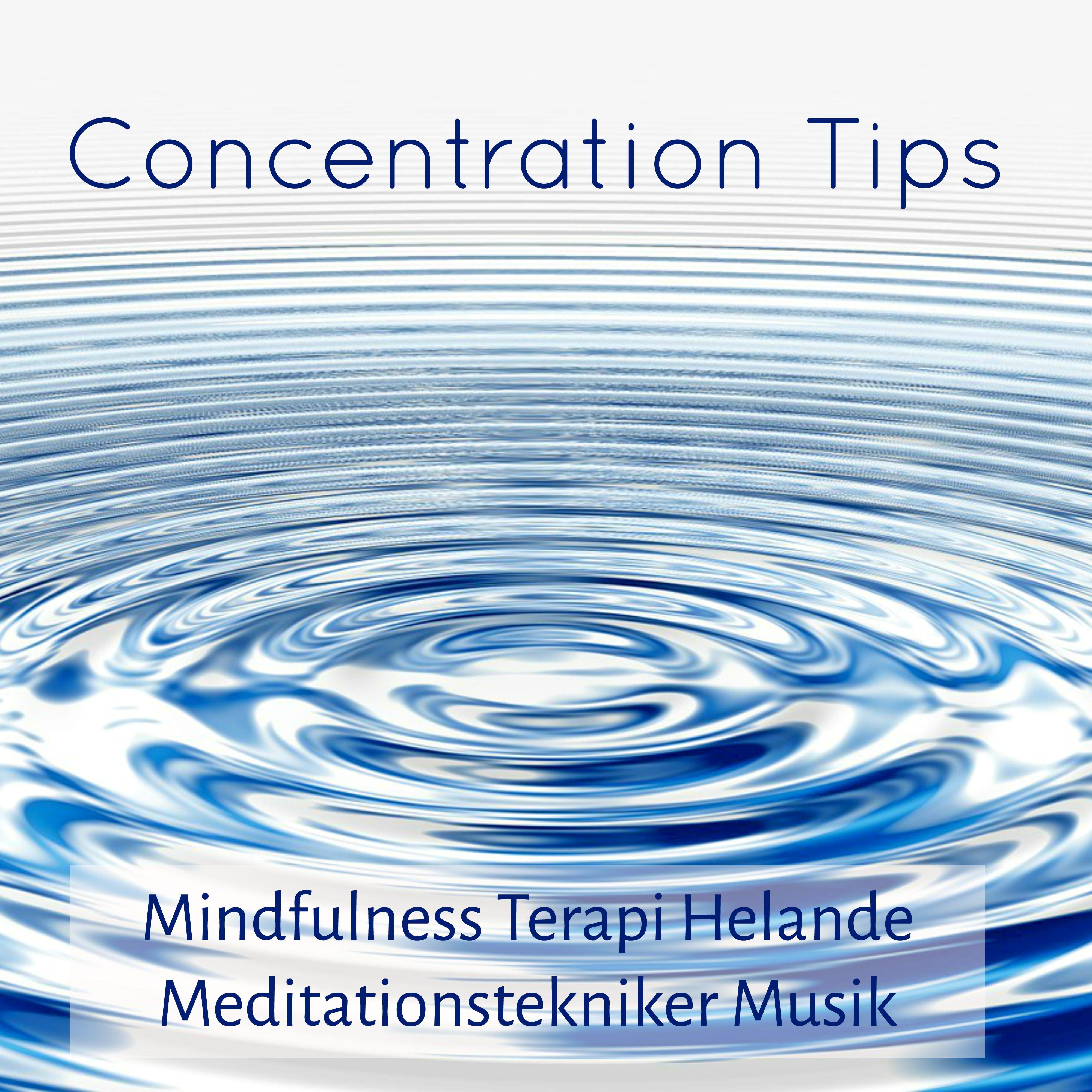 Zen Meditation Music (Best Study Music)