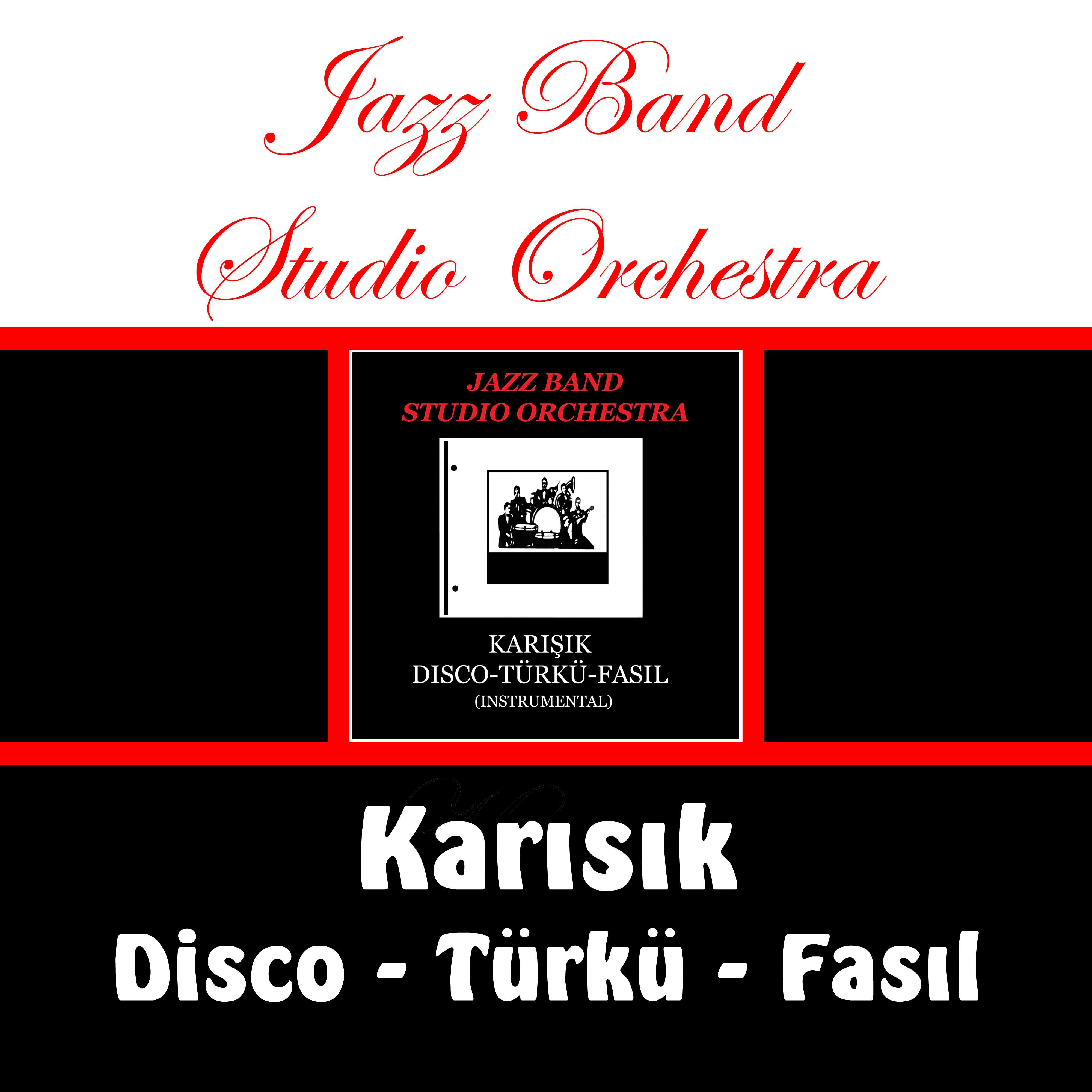 Karisik Disco - Turku - Fasil