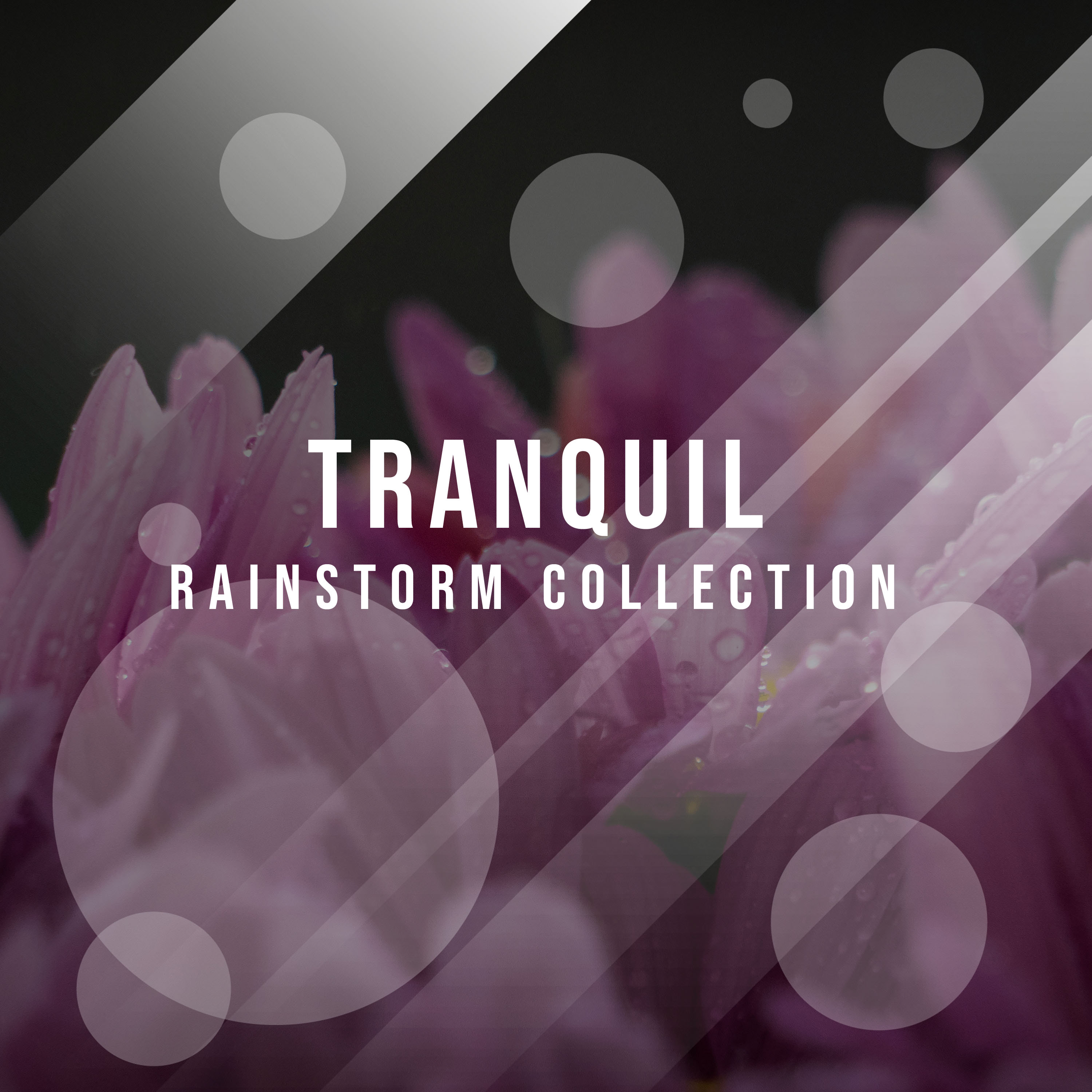 #15 Tranquil Rainstorm Collection