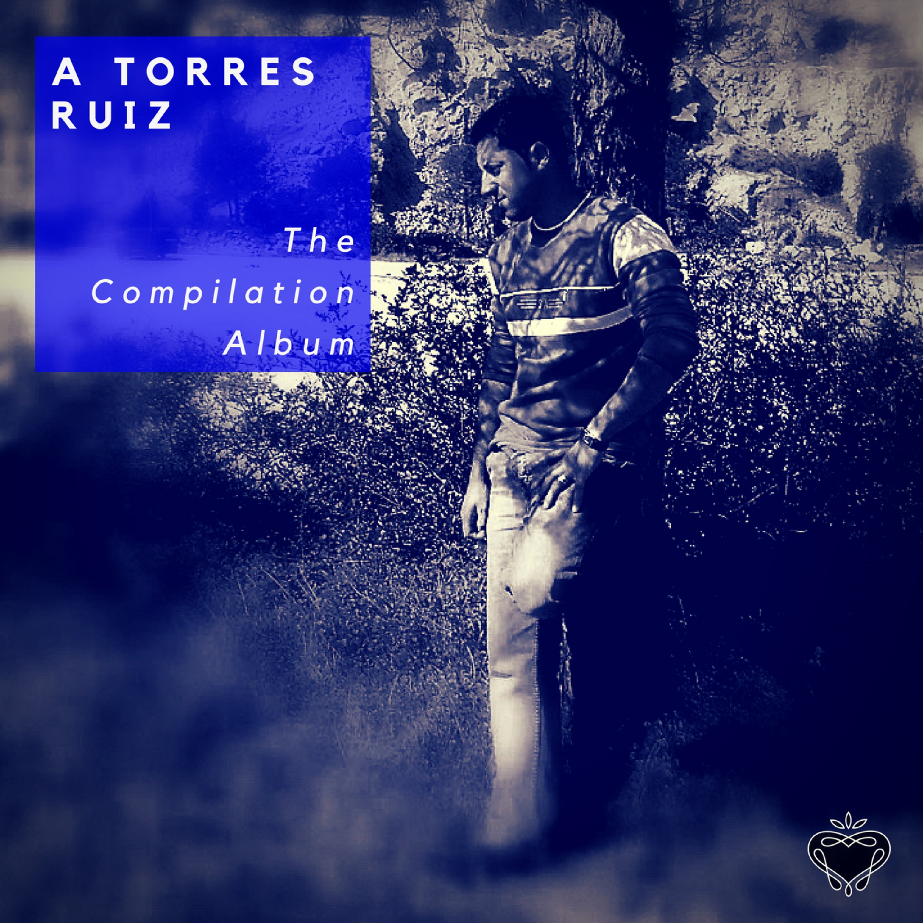 The Compilation Album (a Torres Ruiz)