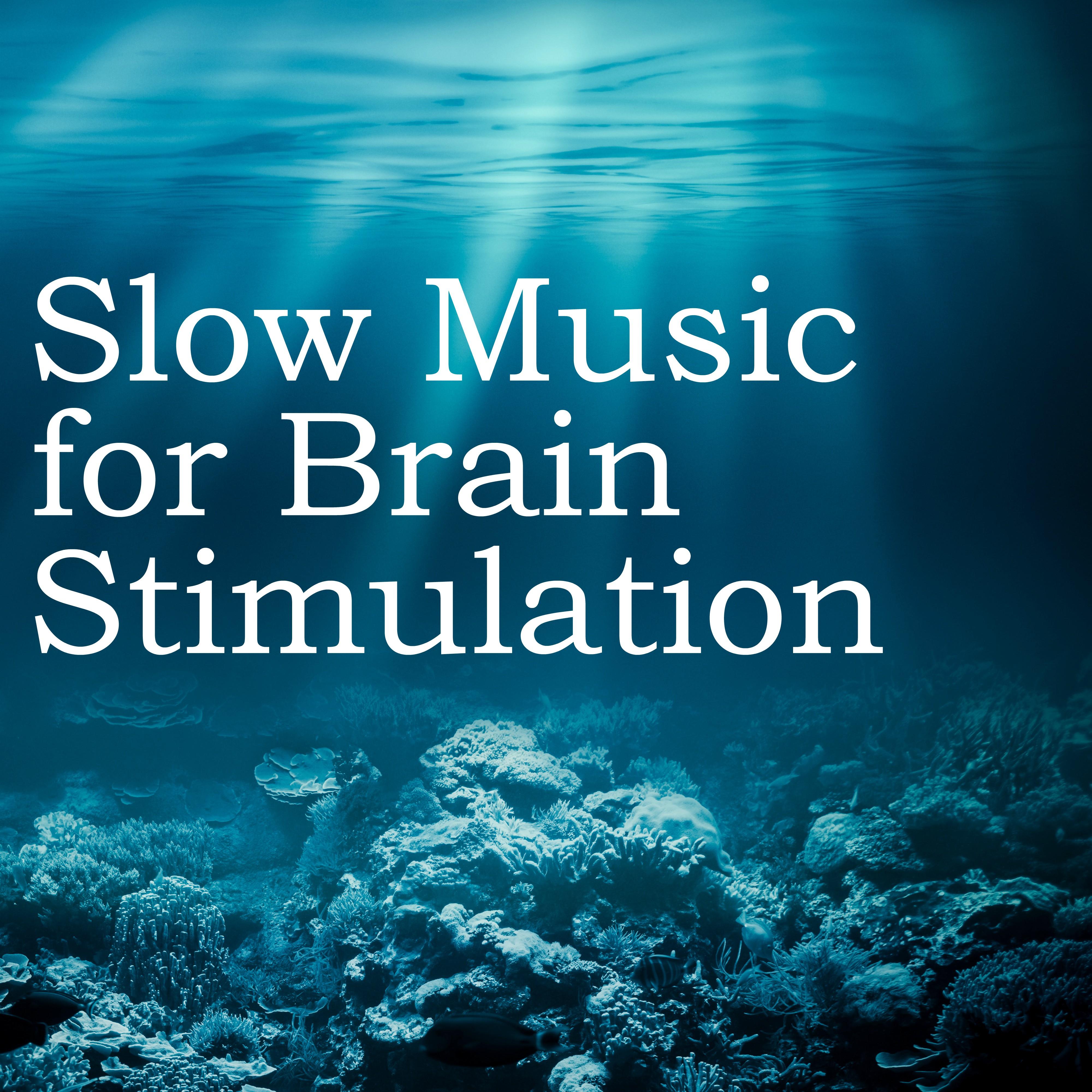 Slow Music for Brain Stimulation - Ocean Waves, Water Sound & Relaxing Music for Mindfulness Meditation Relaxation, Music Therapy, Yoga Music for Massage, Sound Therapy, Lucid Dreaming, Healing and Studying