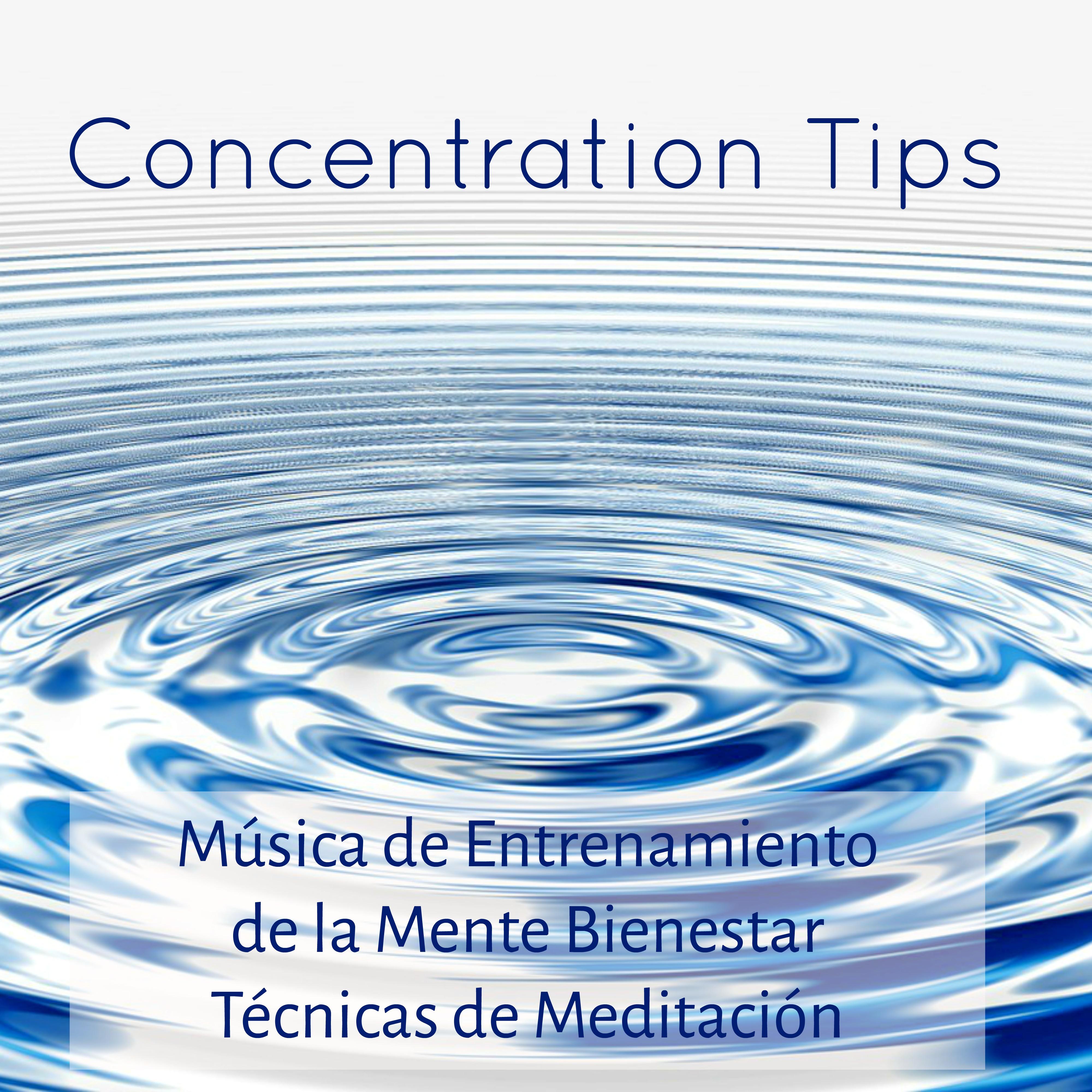 Concentration Tips  Mu sica de Entrenamiento de la Mente Bienestar Te cnicas de Meditacio n con Sonidos de la Naturaleza New Age Instrumentales