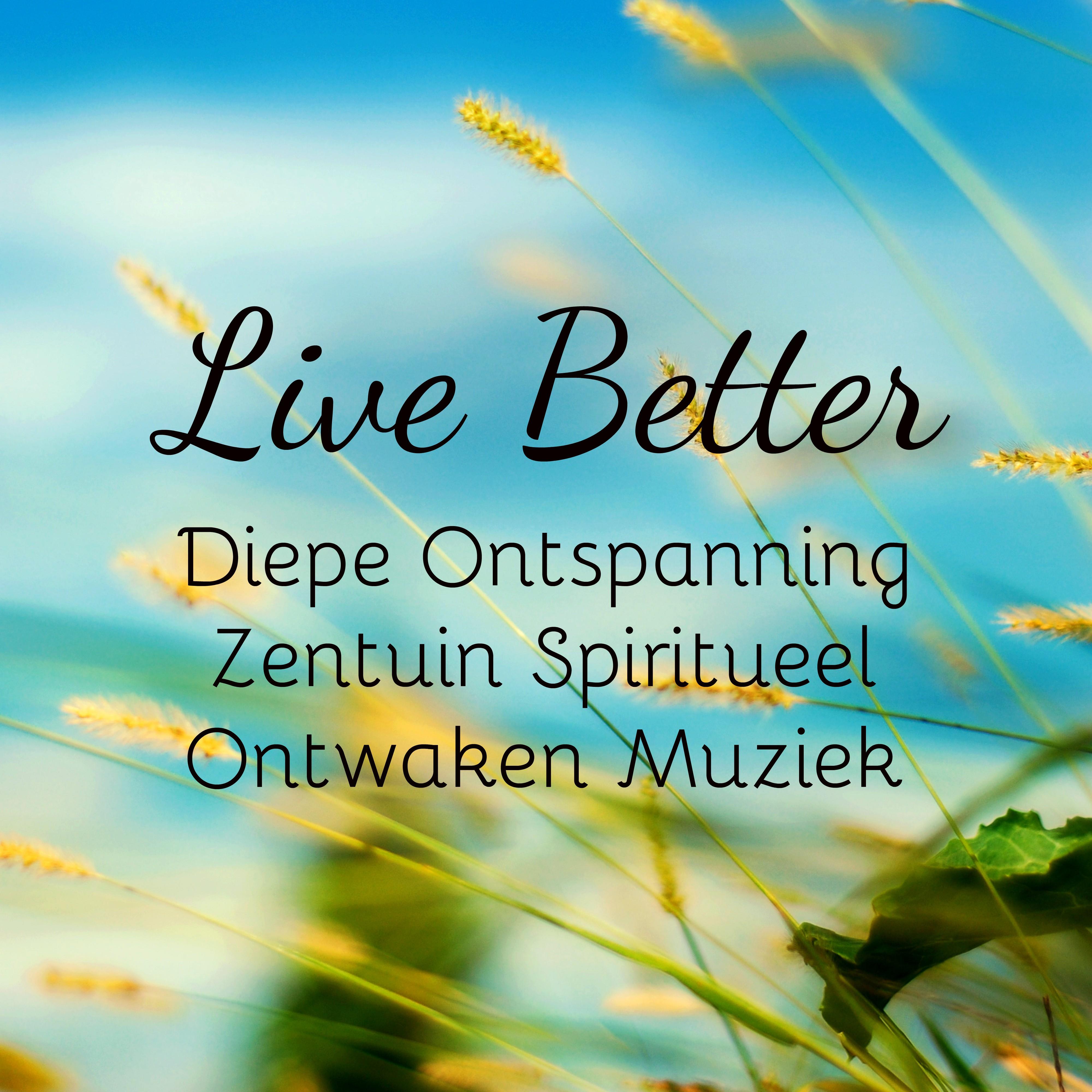 Live Better - Diepe Ontspanning Zentuin Spiritueel Ontwaken Muziek voor Bewustzijnsverruiming Dagelijkse Meditatie Wedergeboorte