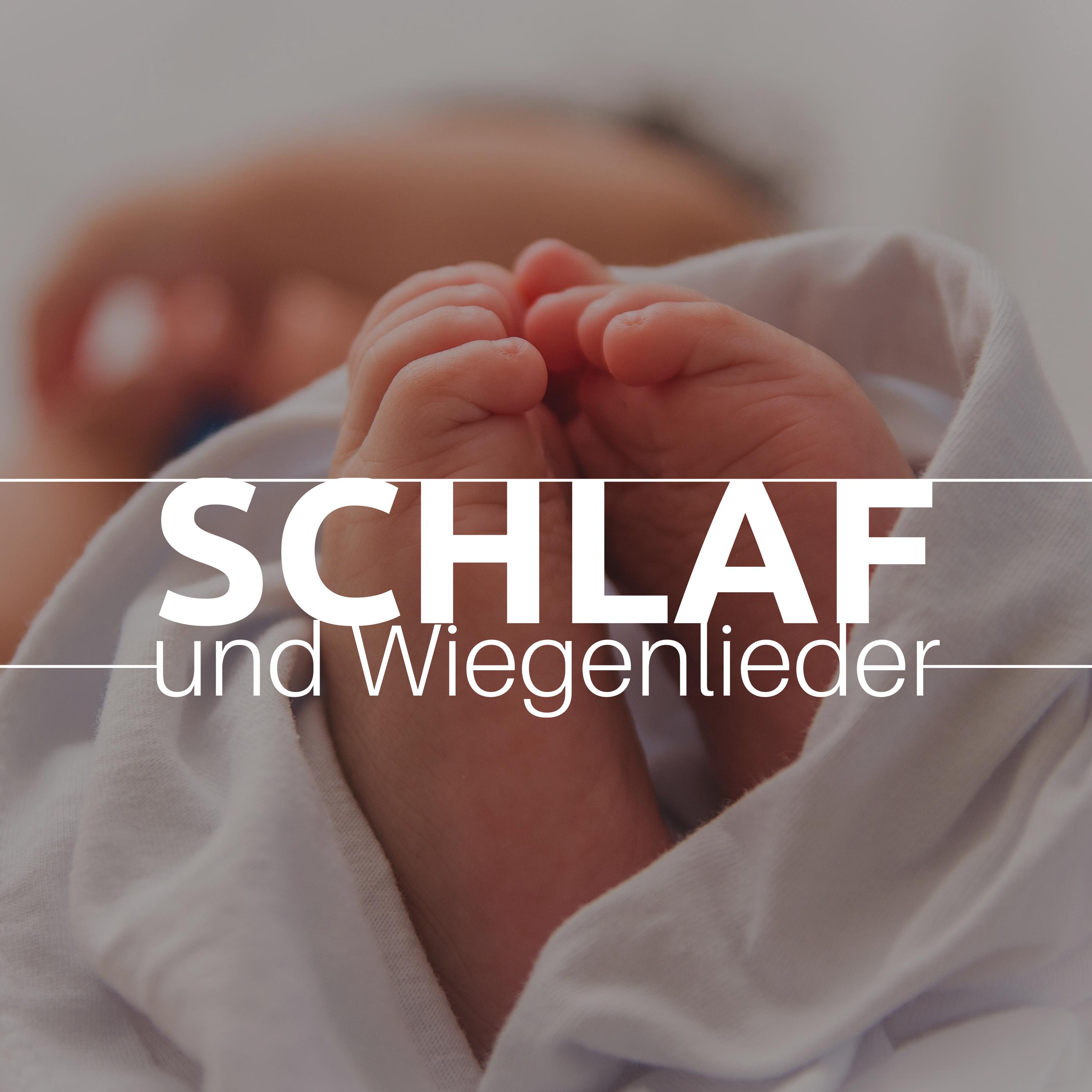 Babys Brauchen Musik