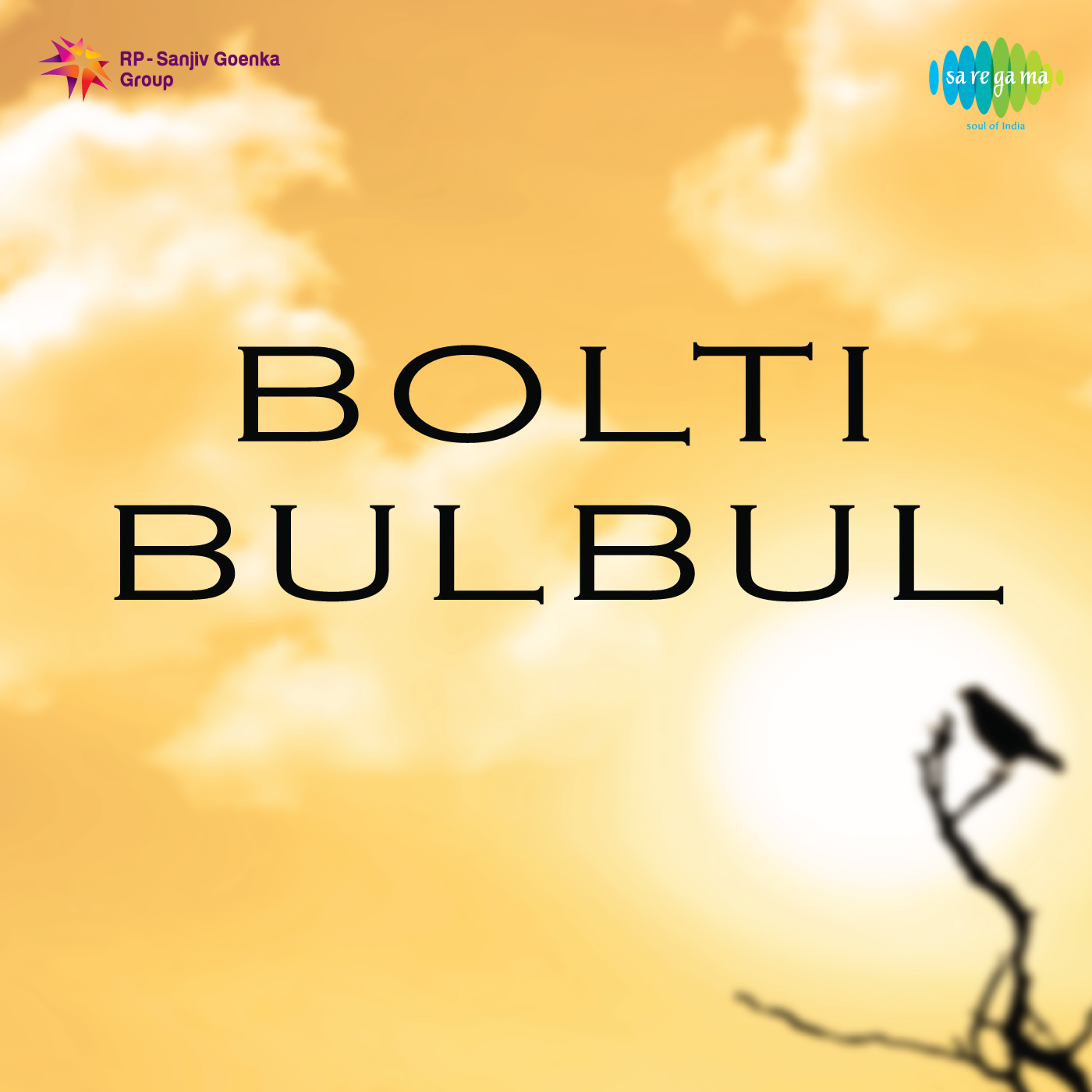 Bolti Bulbul